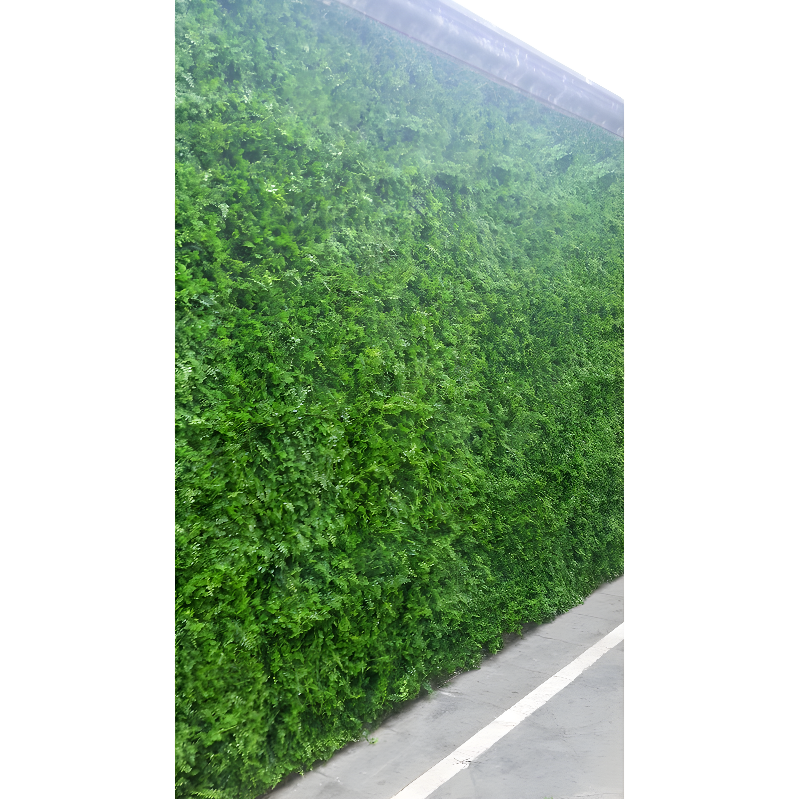 GreenSmart Dekor Artificial Leaf Fern Decorative Fence Panel (Set of 4)