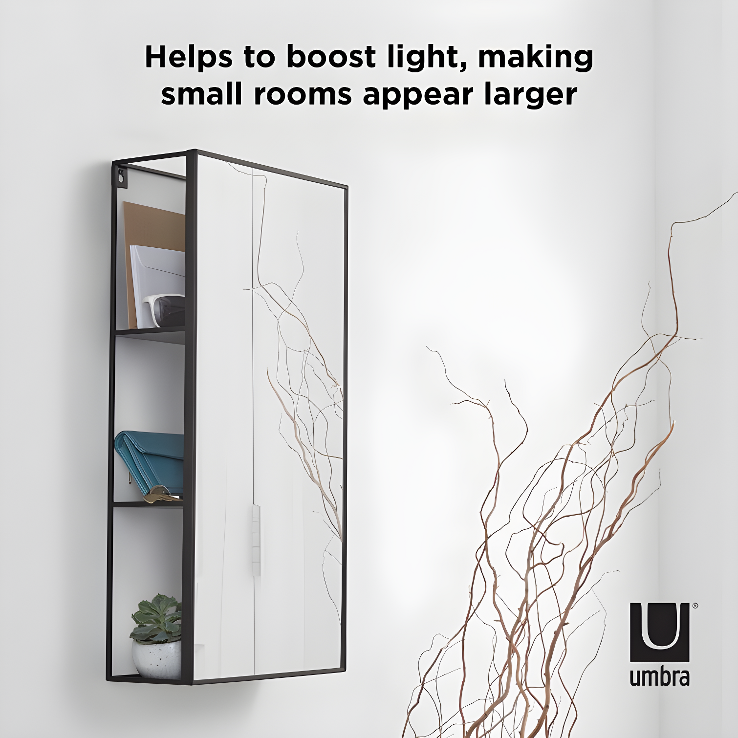 Cubiko Storage Wall Mirror