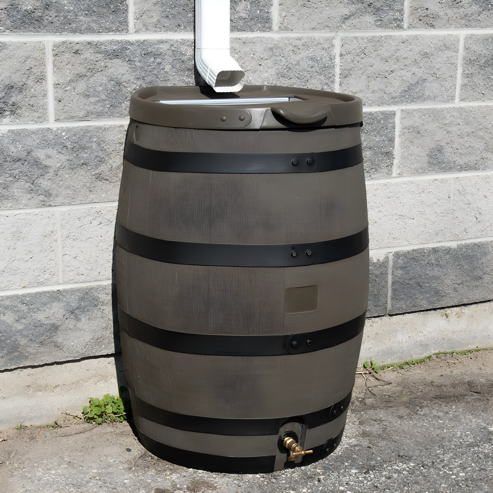 RTS Companies 55 Gallon Premium Eco Flat Back Rain Barrel with Removable Lid
