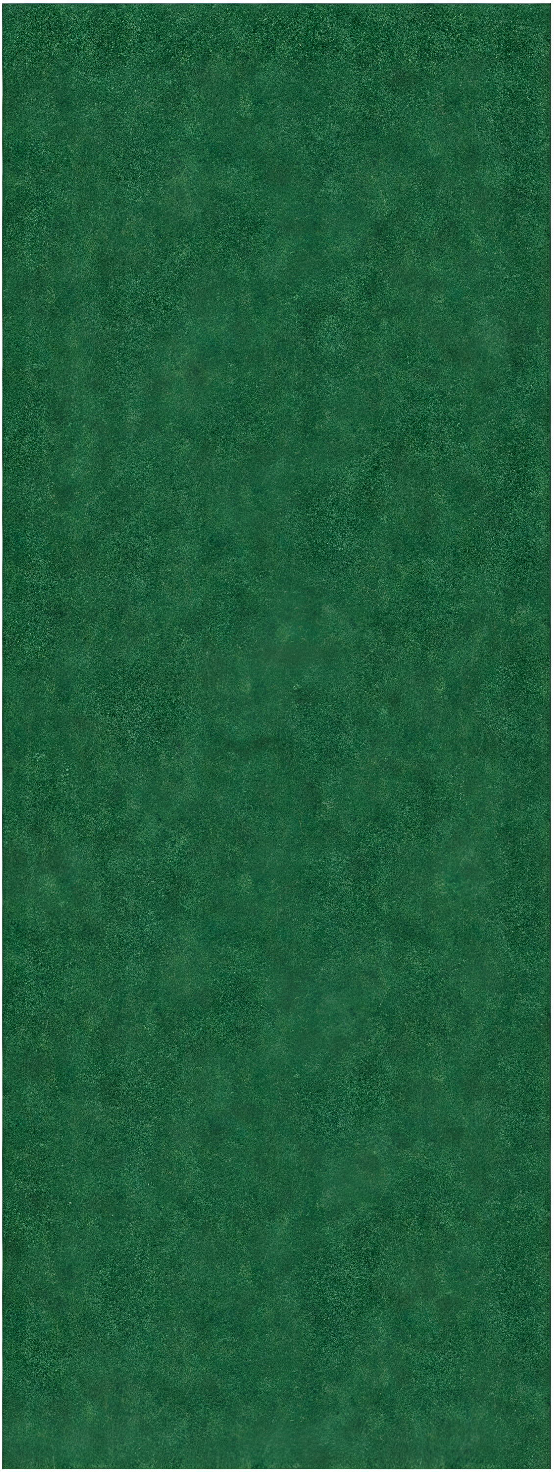 Green Polyester Non-Slip Indoor/Outdoor Runner Rug 3x6