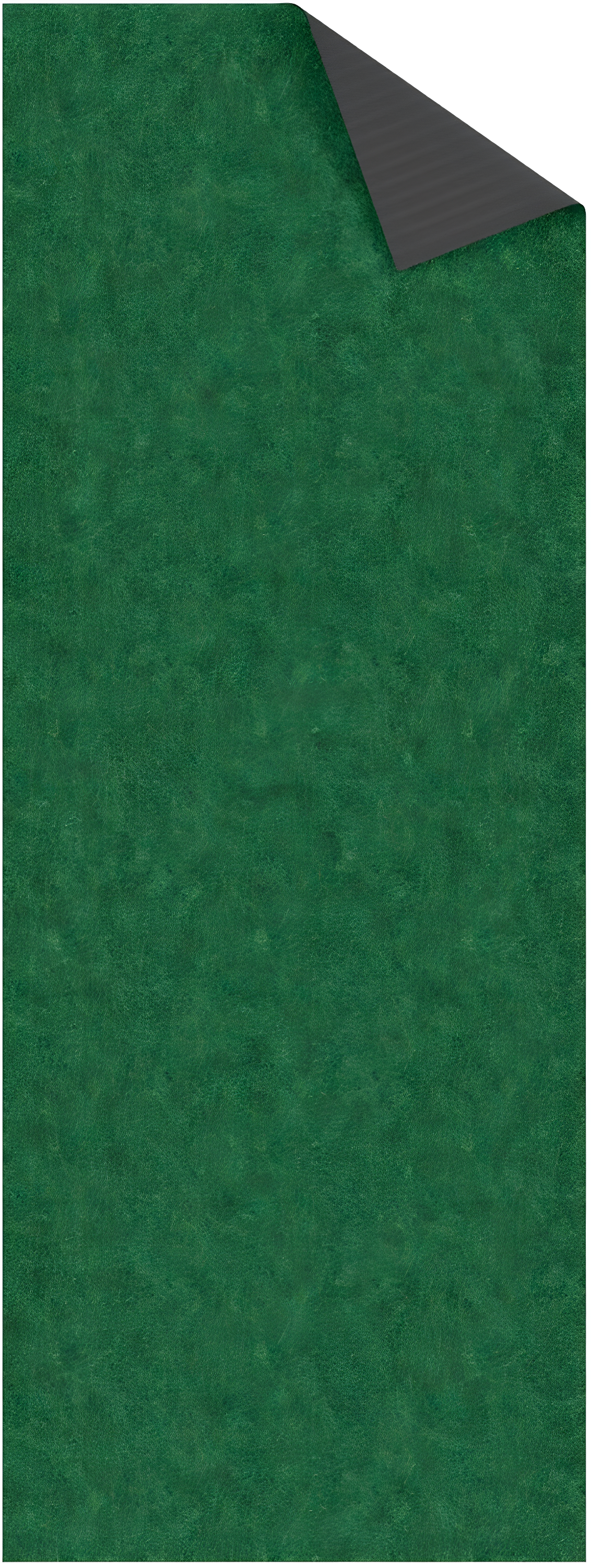 Green Polyester Non-Slip Indoor/Outdoor Runner Rug 3x6