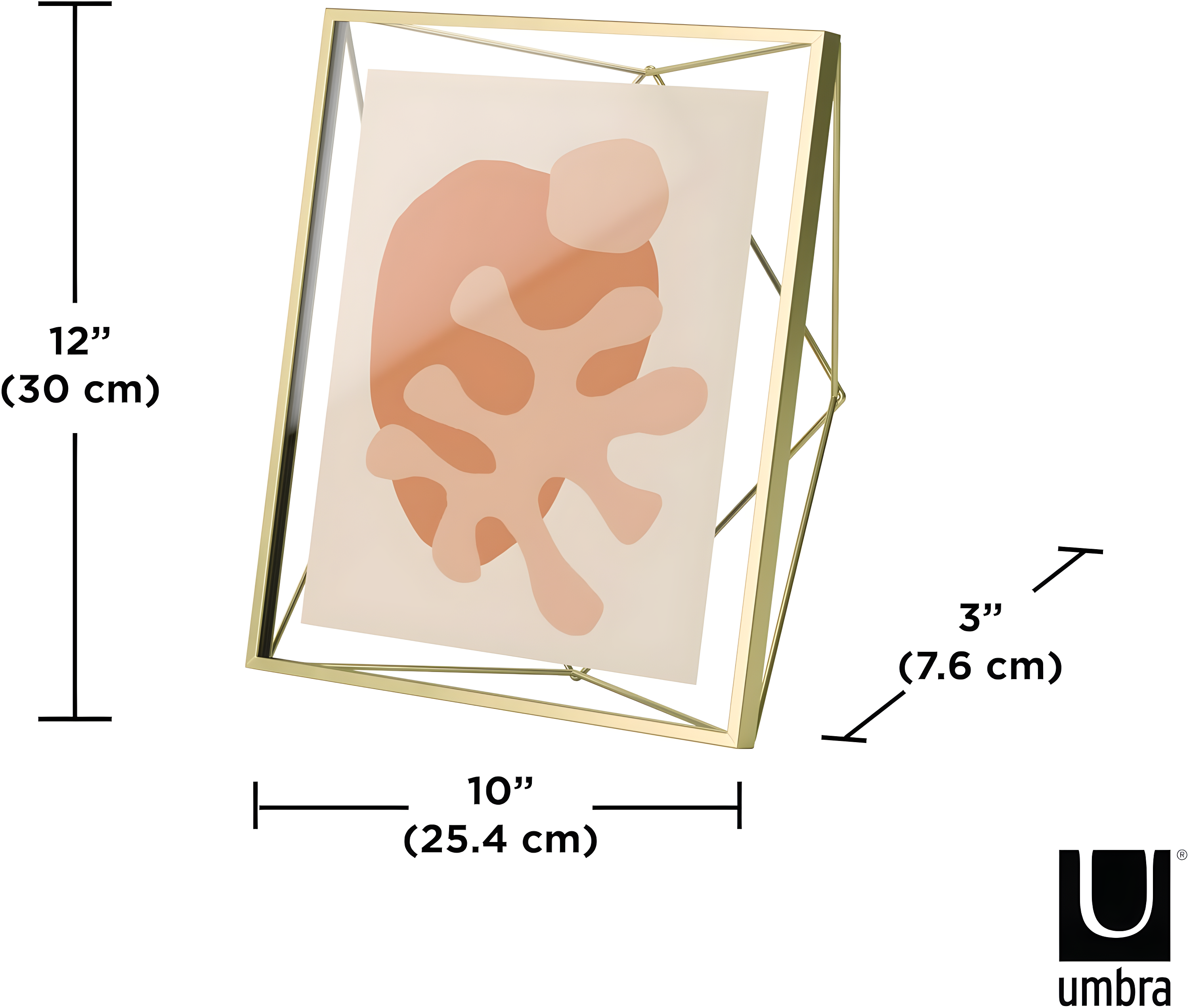 Umbra 8"x10" Prisma Picture Frame Matte Brass: Modern Steel Construction, Freestanding or Wall Mount, Novelty Shape