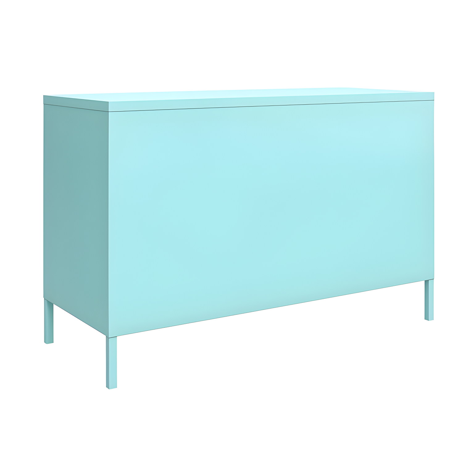 Cache 2-Door Accent Cabinet