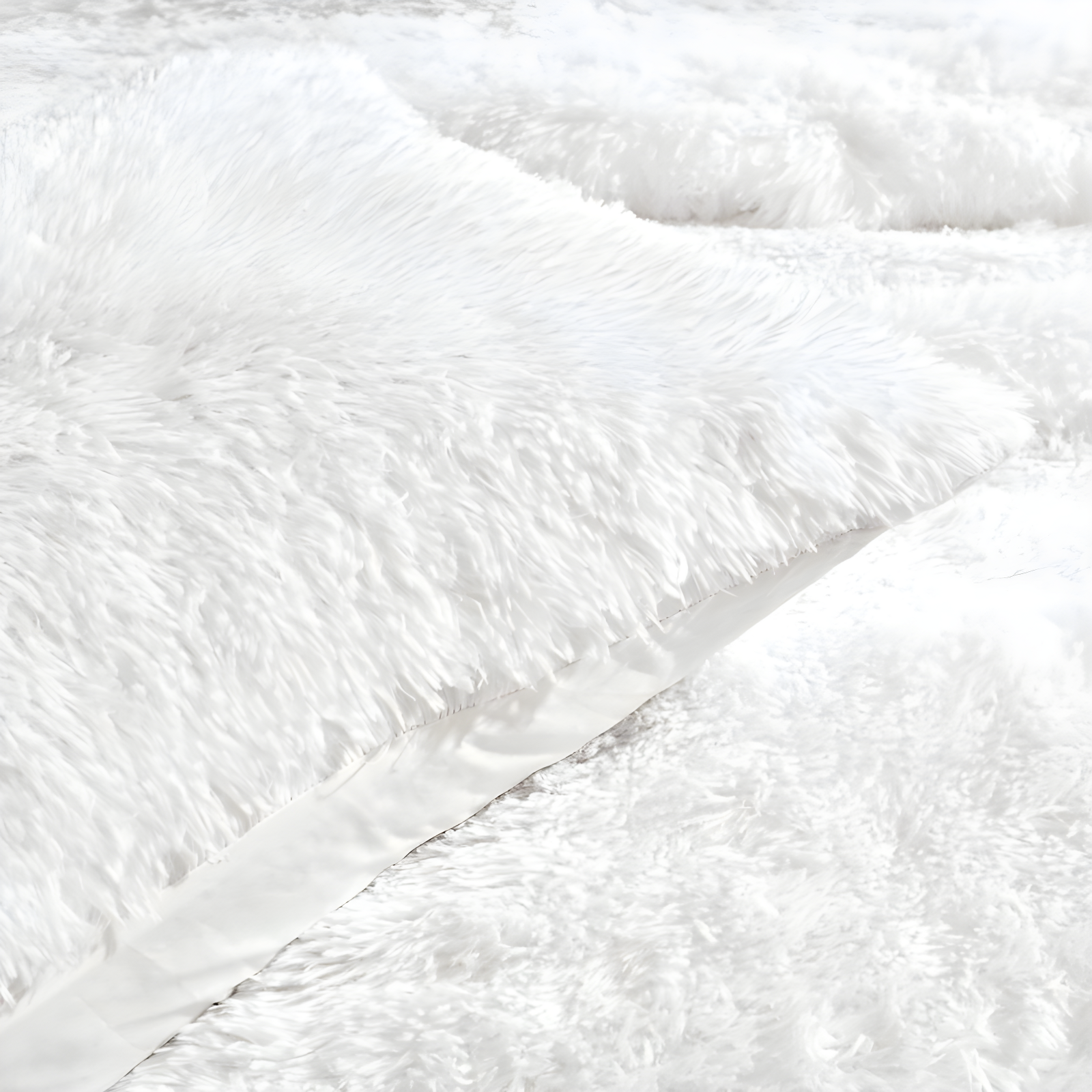 Reyna Microfiber 3 Piece Comforter Set