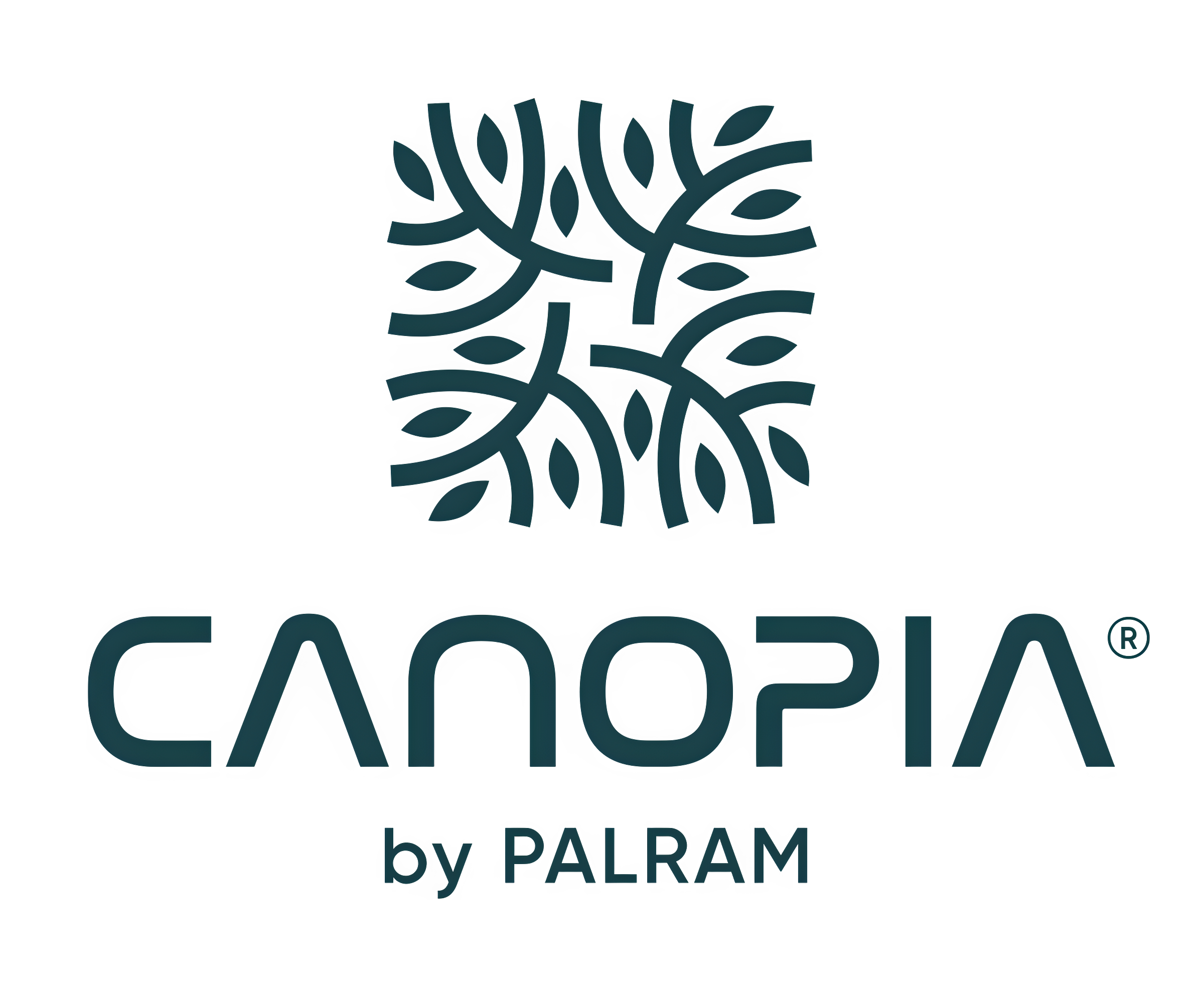 Canopia Palram - Canopia Oasis 12' x 10' Hexagonal Walk-In Hobby Polycarbonate Aluminum Frame Greenhouse Outdoor Living Structure - Gray