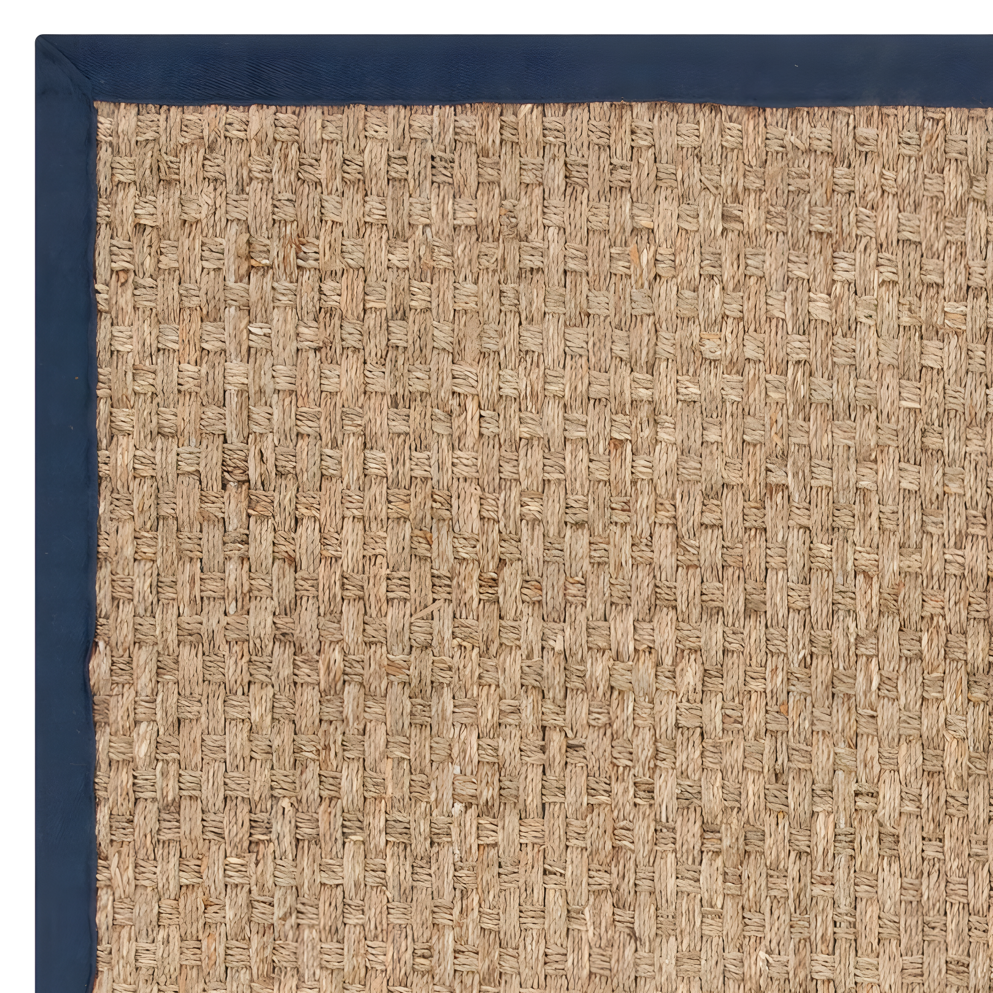 Natural Fiber NF114 Power Loomed Indoor Area Rug - Natural/Navy Blue - 6'x6' - Safavieh