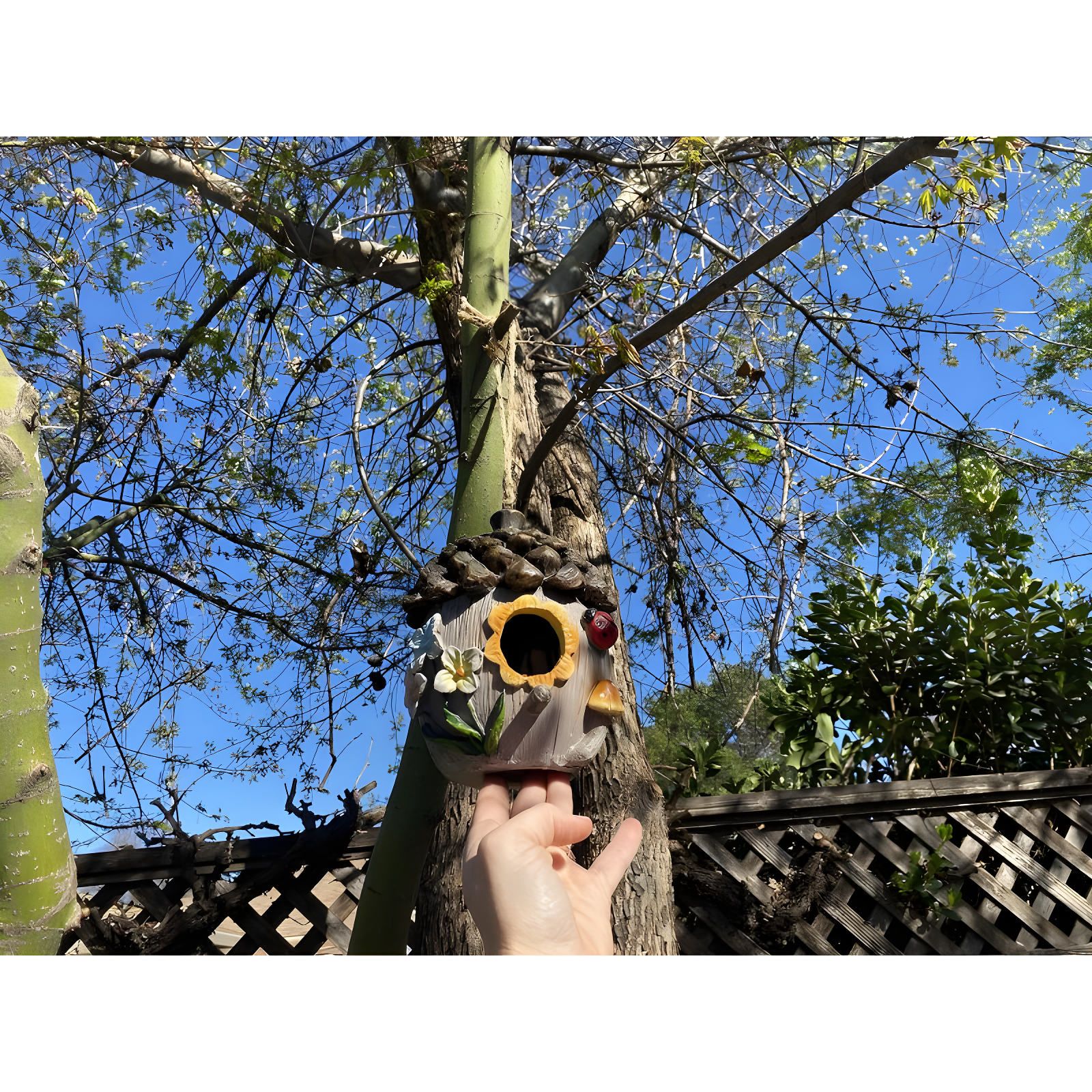 Dawhud Direct Hand-Painted Bird Houses for Outdoors Decorative Birdhouses