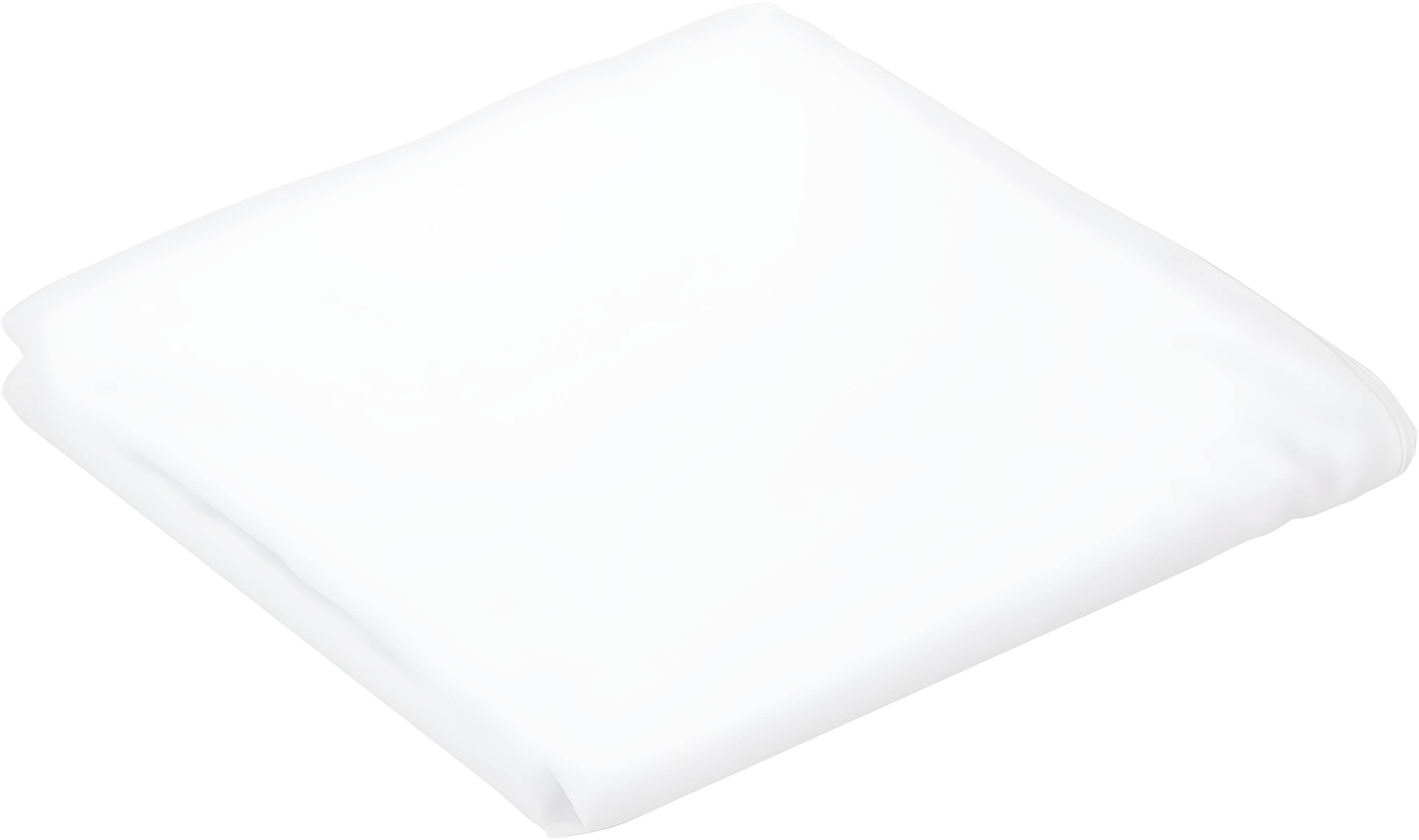AllerEase Polyester Pillow