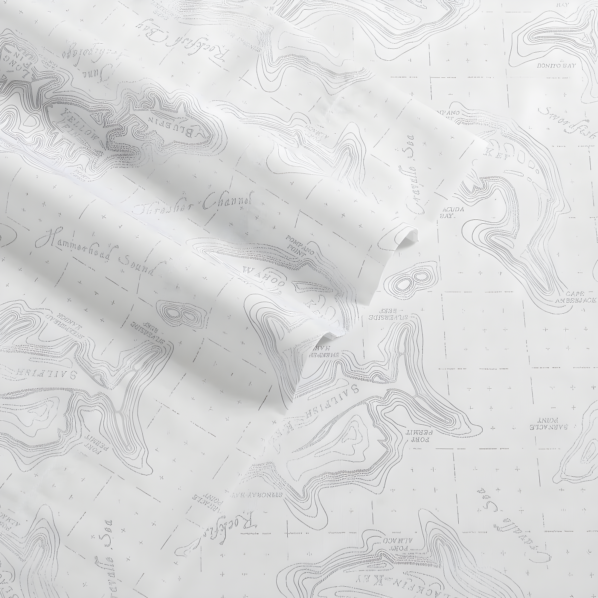 Eddie Bauer Eddie Bauer Printed Cotton Percale Sheet Sets