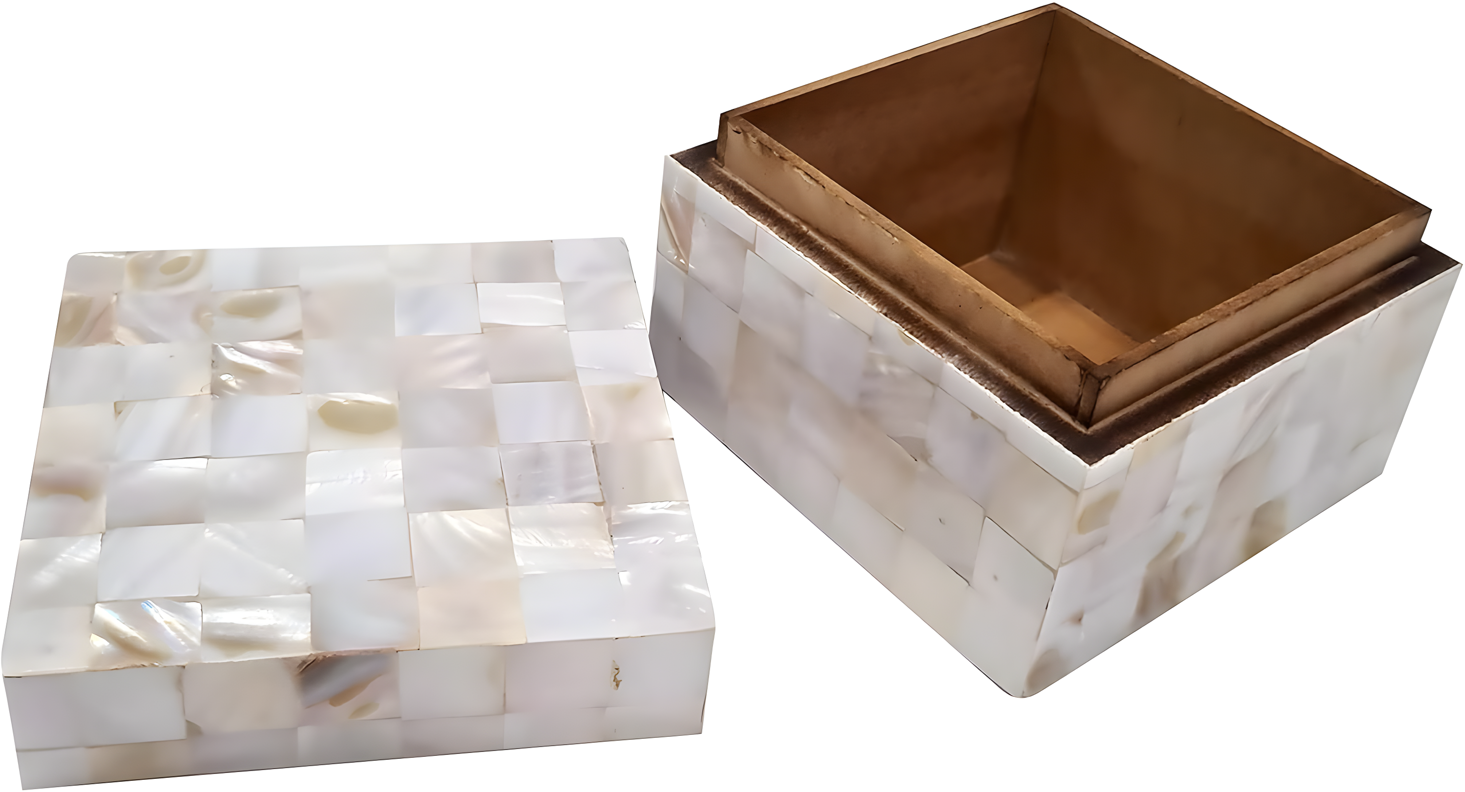 Set of 2 Shell Mosaic Patterned Wood Box White - Olivia & May