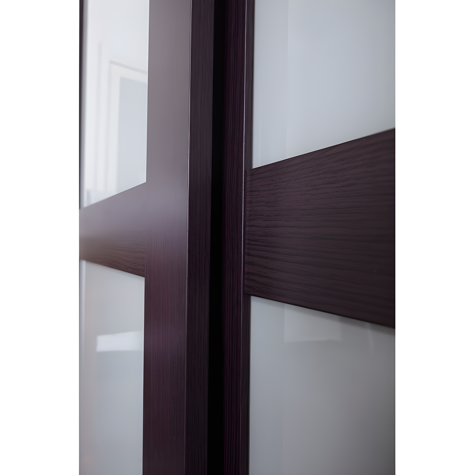 Renin 80'' Solid + Manufactured Wood Glass Low-Gloss Sliding Closet Doors
