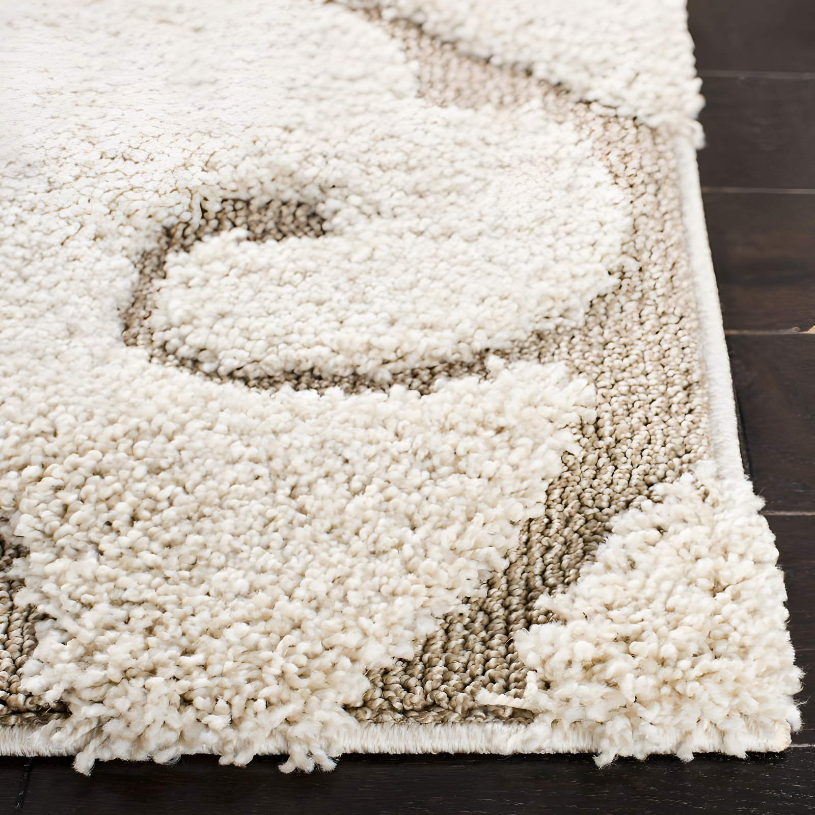 Florida Shag SG455 Power Loomed Indoor Area Rug - Cream/Beige - 4'x6' - Safavieh.