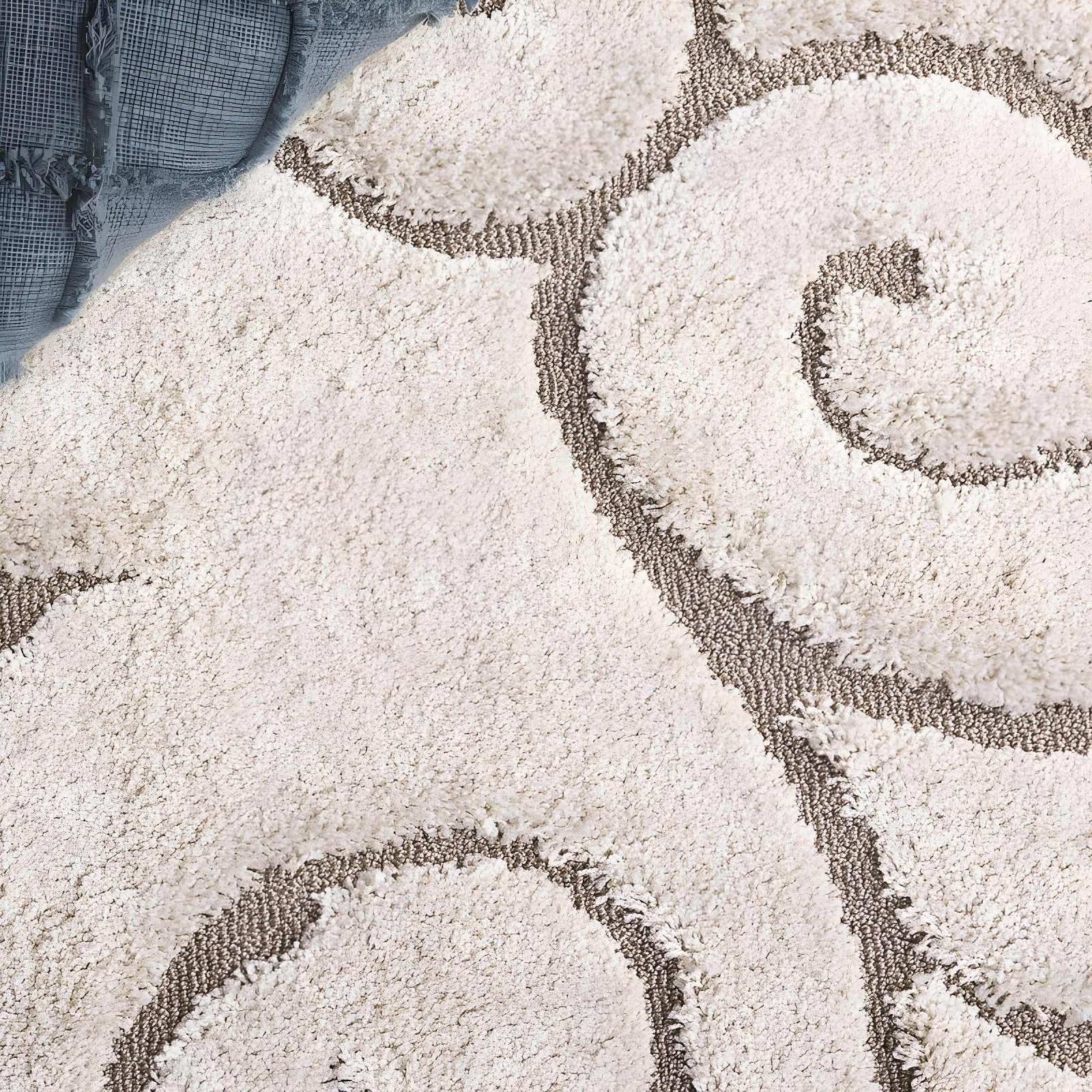 Florida Shag SG455 Power Loomed Indoor Area Rug - Cream/Beige - 4'x6' - Safavieh.