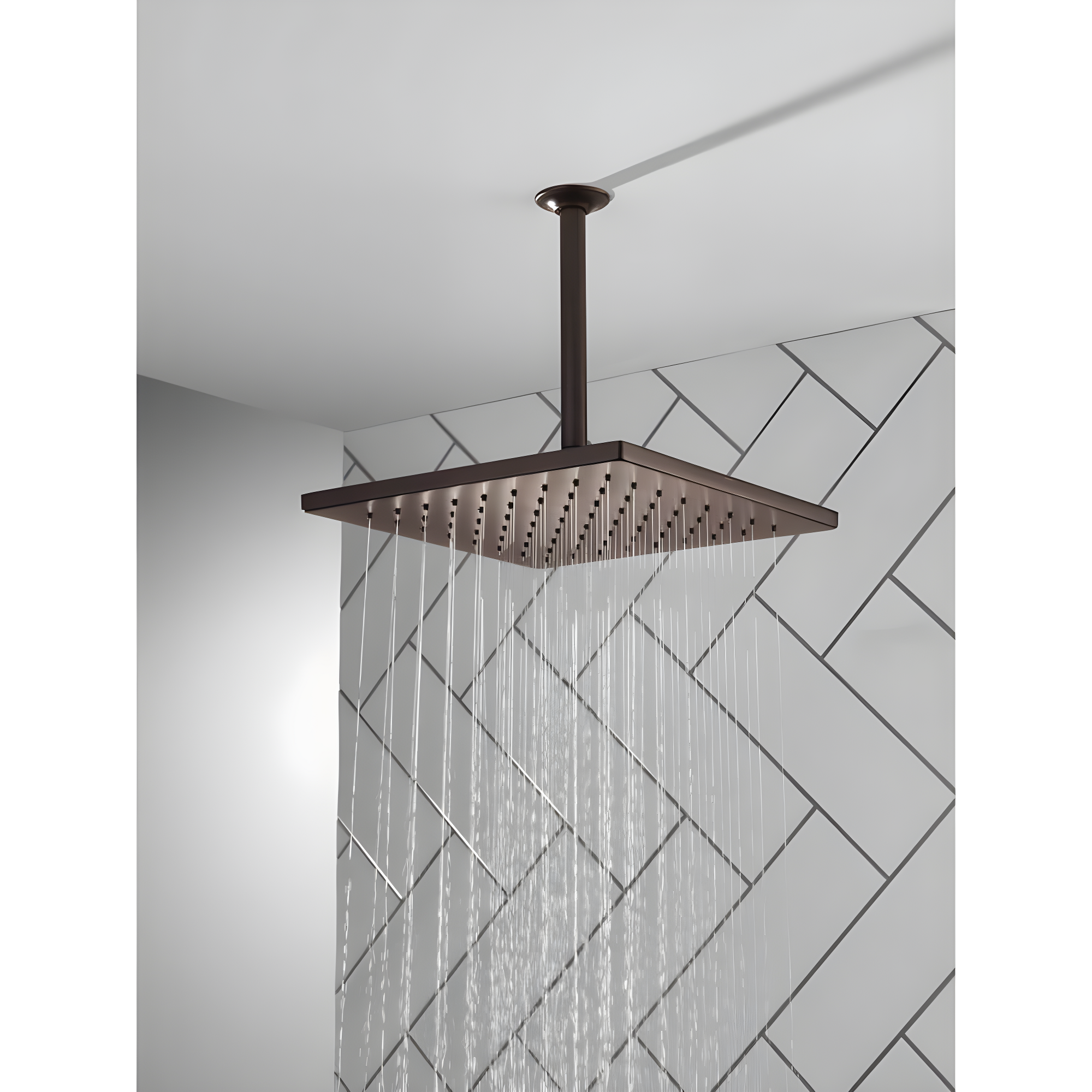 Delta Rain Adjustable Shower Head