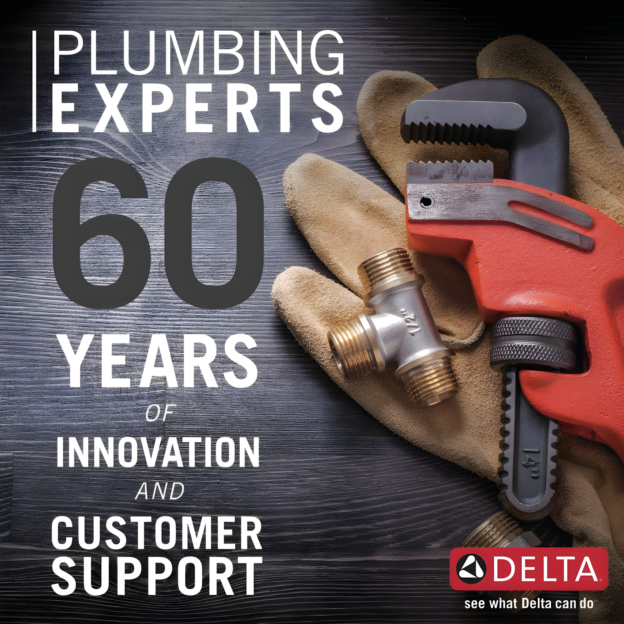 Delta Rain Adjustable Shower Head