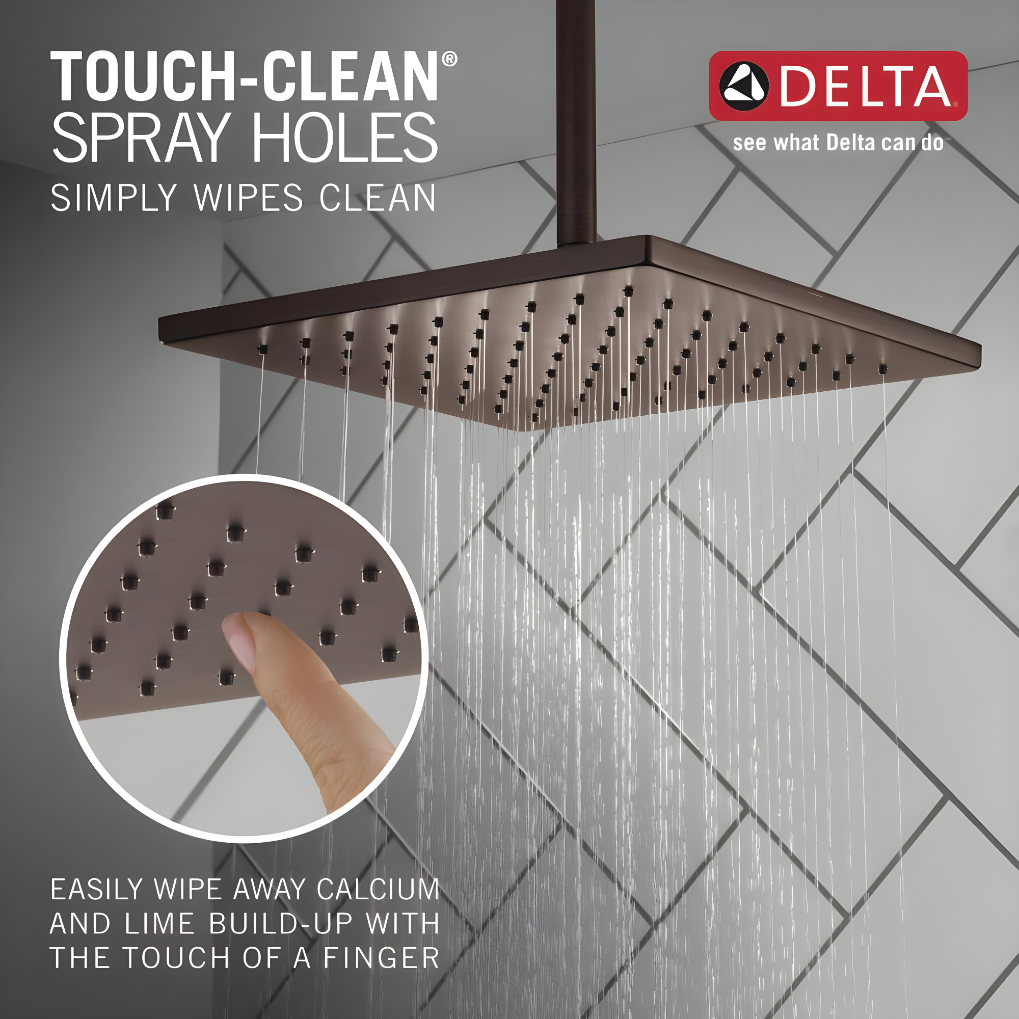 Delta Rain Adjustable Shower Head