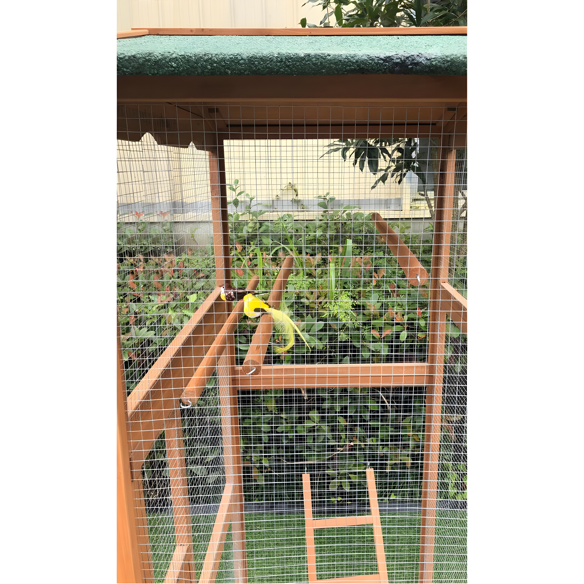 Hanover Outdoor Wooden Bird Cage with 3 Resting Bars, Ladder, Waterproof Roof and Removable Tray, 2.9 Ft. x 2.1 Ft. x 5.8 Ft.