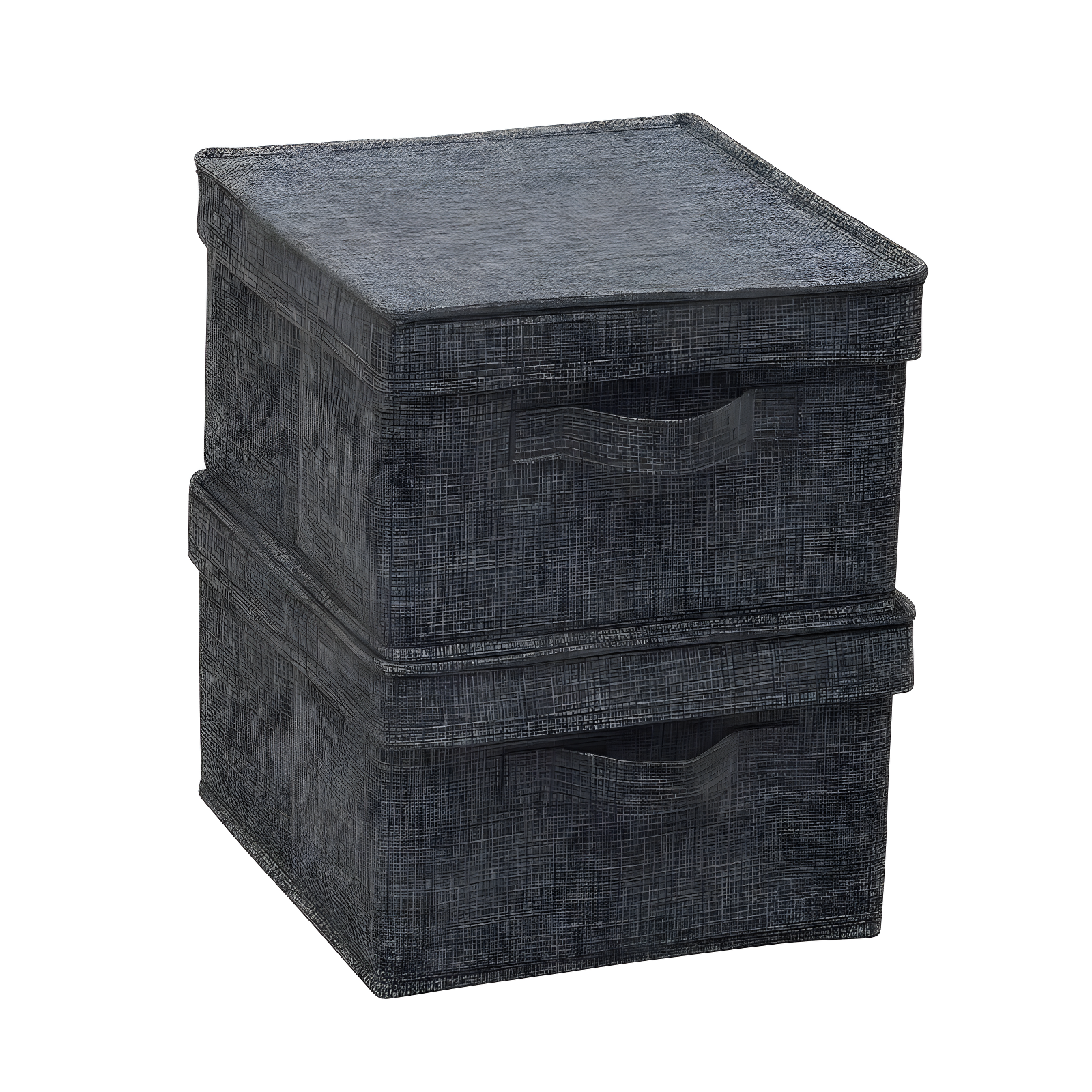 Household Essentials Fabric Bin (Set of 2)