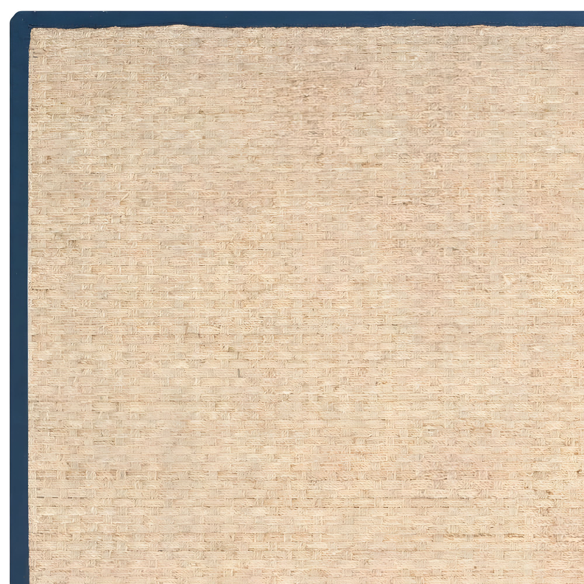 SAFAVIEH Natural Fiber Arbor Border Area Rug, Natural/Blue, 9' x 12'