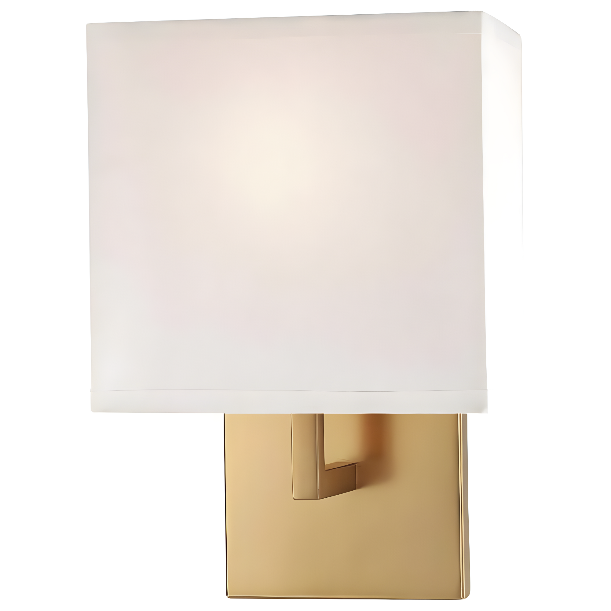 Ivy Bronx Ifrane Steel Armed Sconce