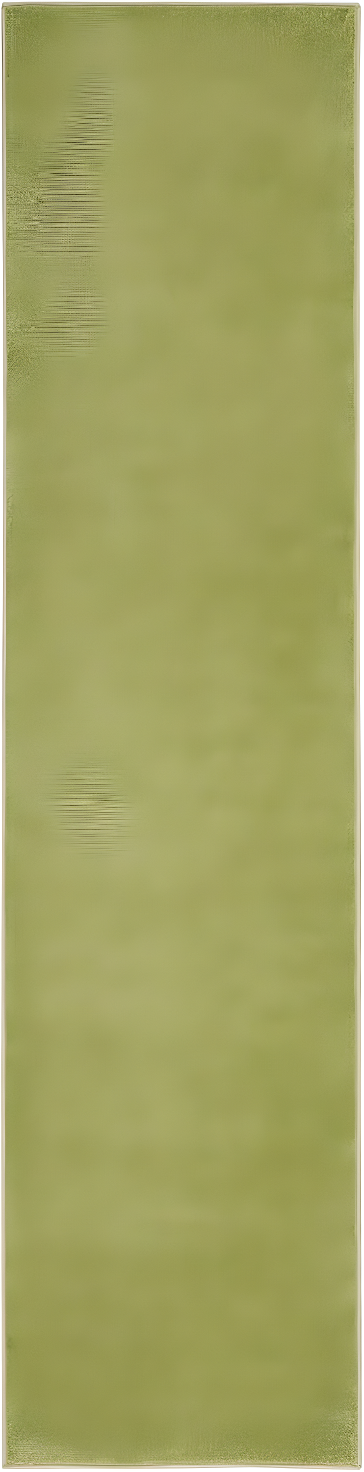 Nourison Nourison Essentials 2'2" x 12' Green Indoor Outdoor Rug