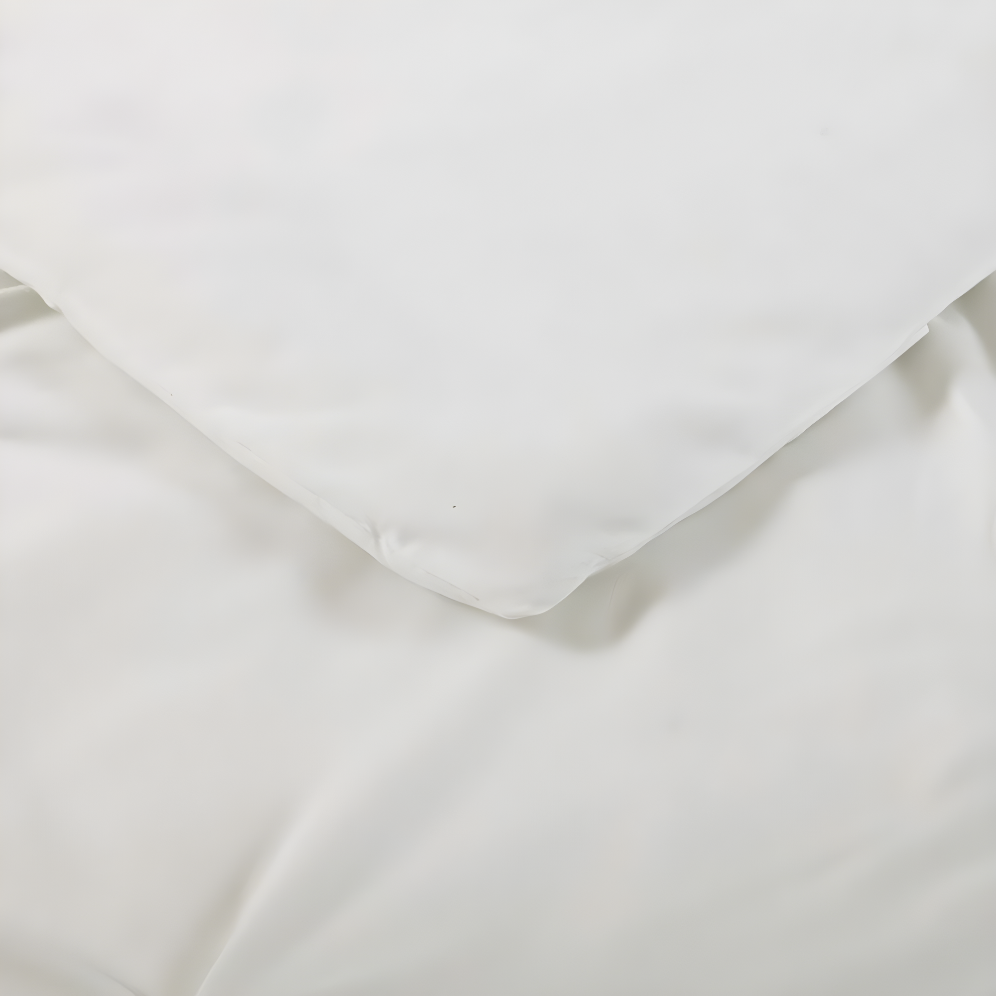 Truly Soft Solid Modern & Contemporary Comforter Set