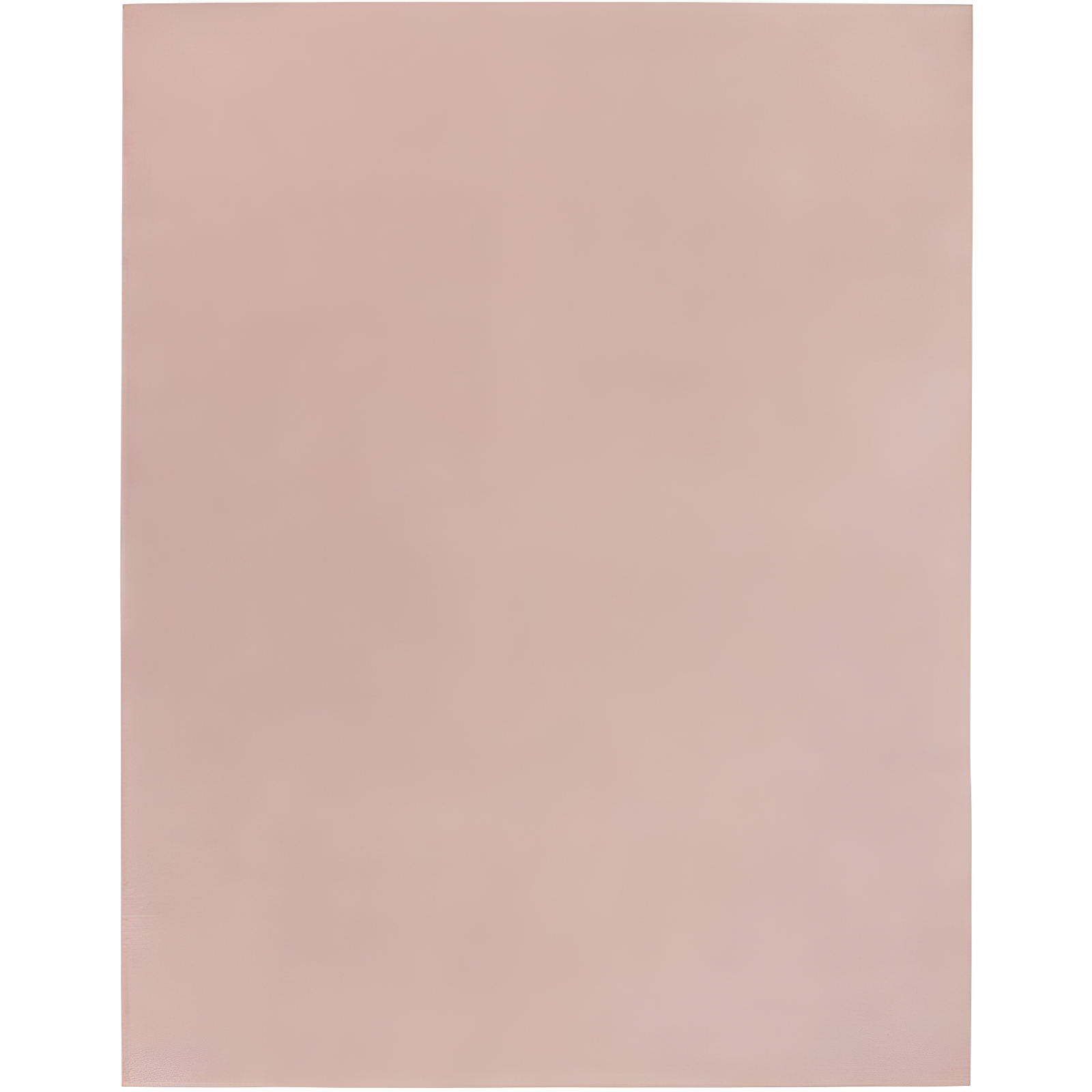 Nourison Essentials Rose Area Rug