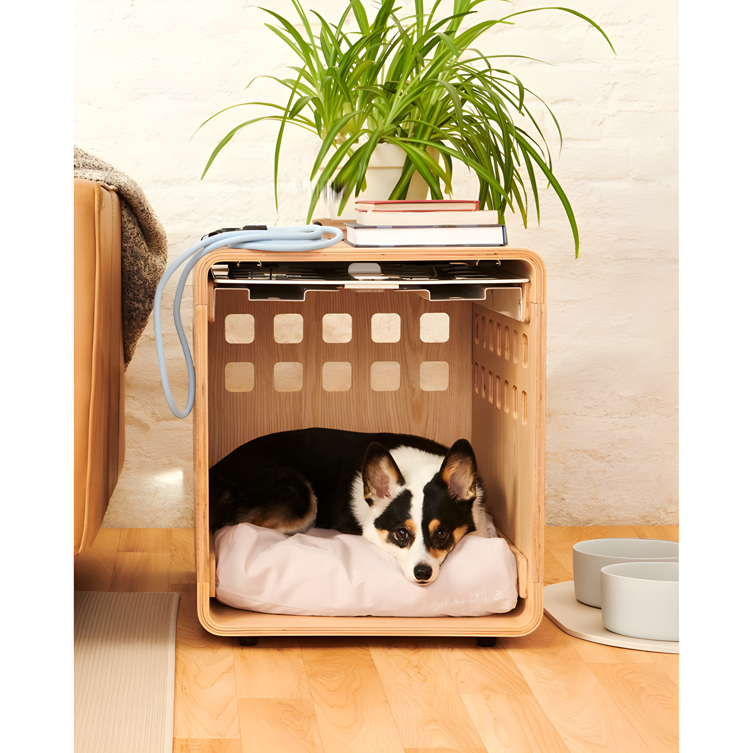 Fable Pets Wood Pet Crate with 1 Door