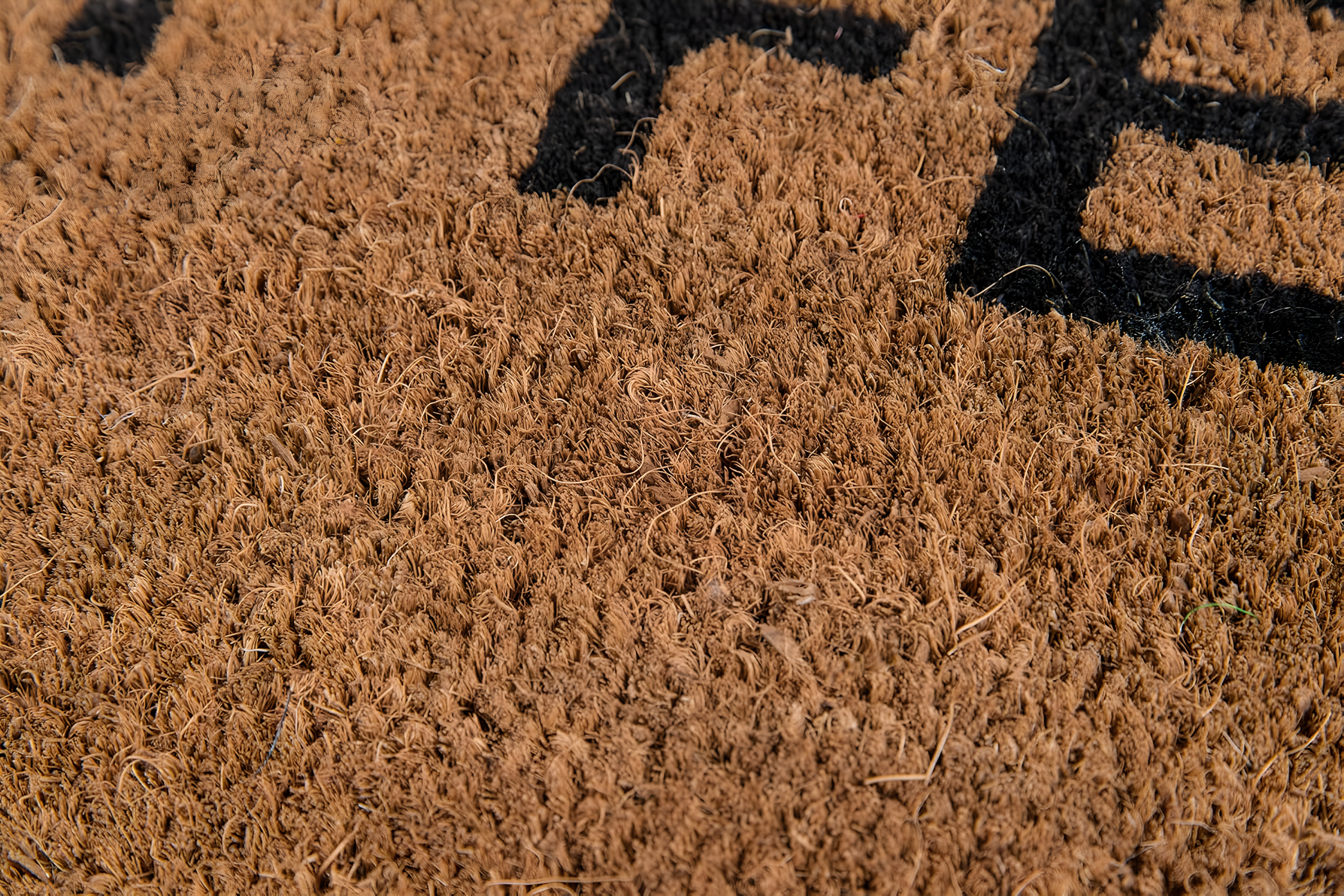 Aloha Outdoor Doormat