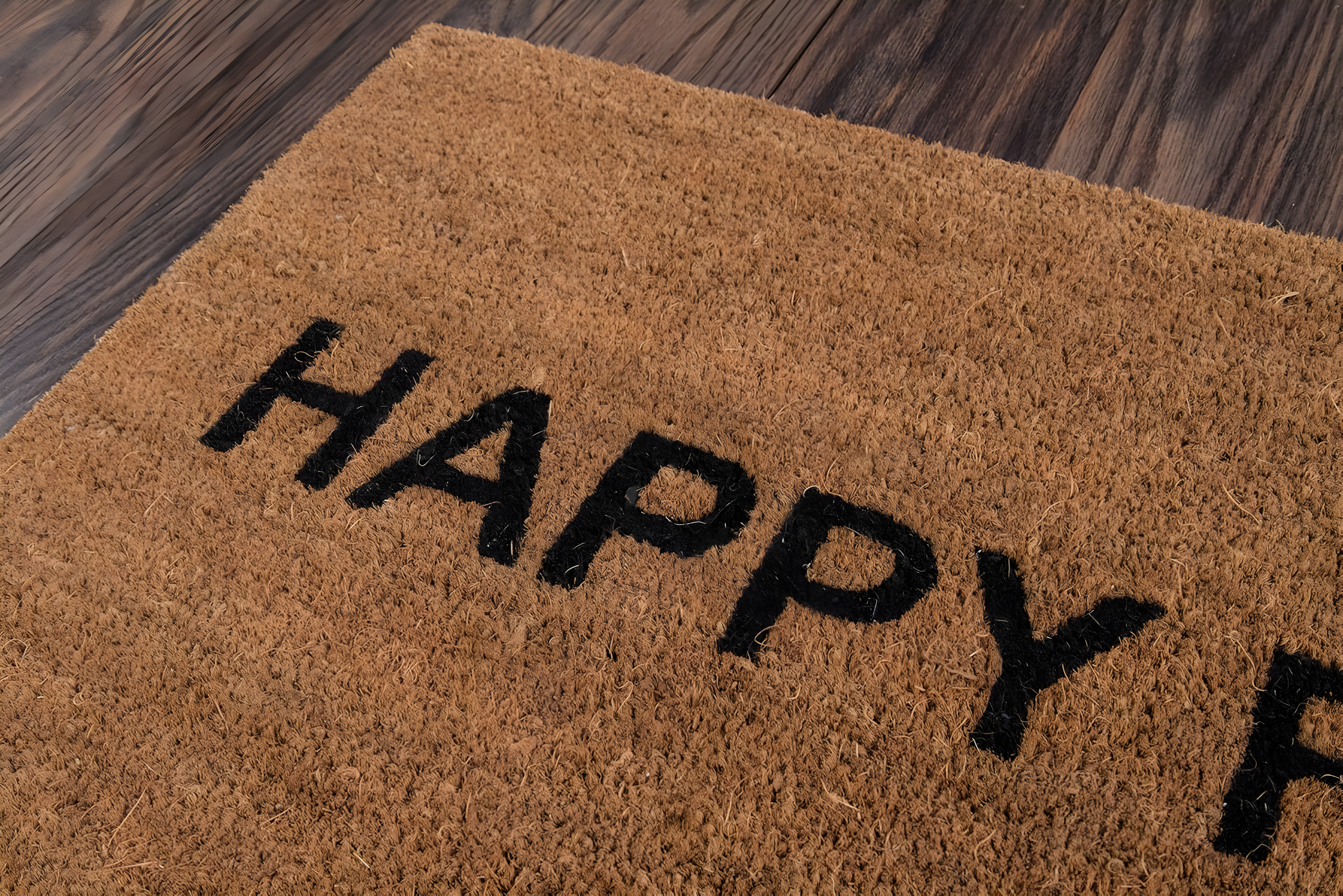 Aloha Outdoor Doormat