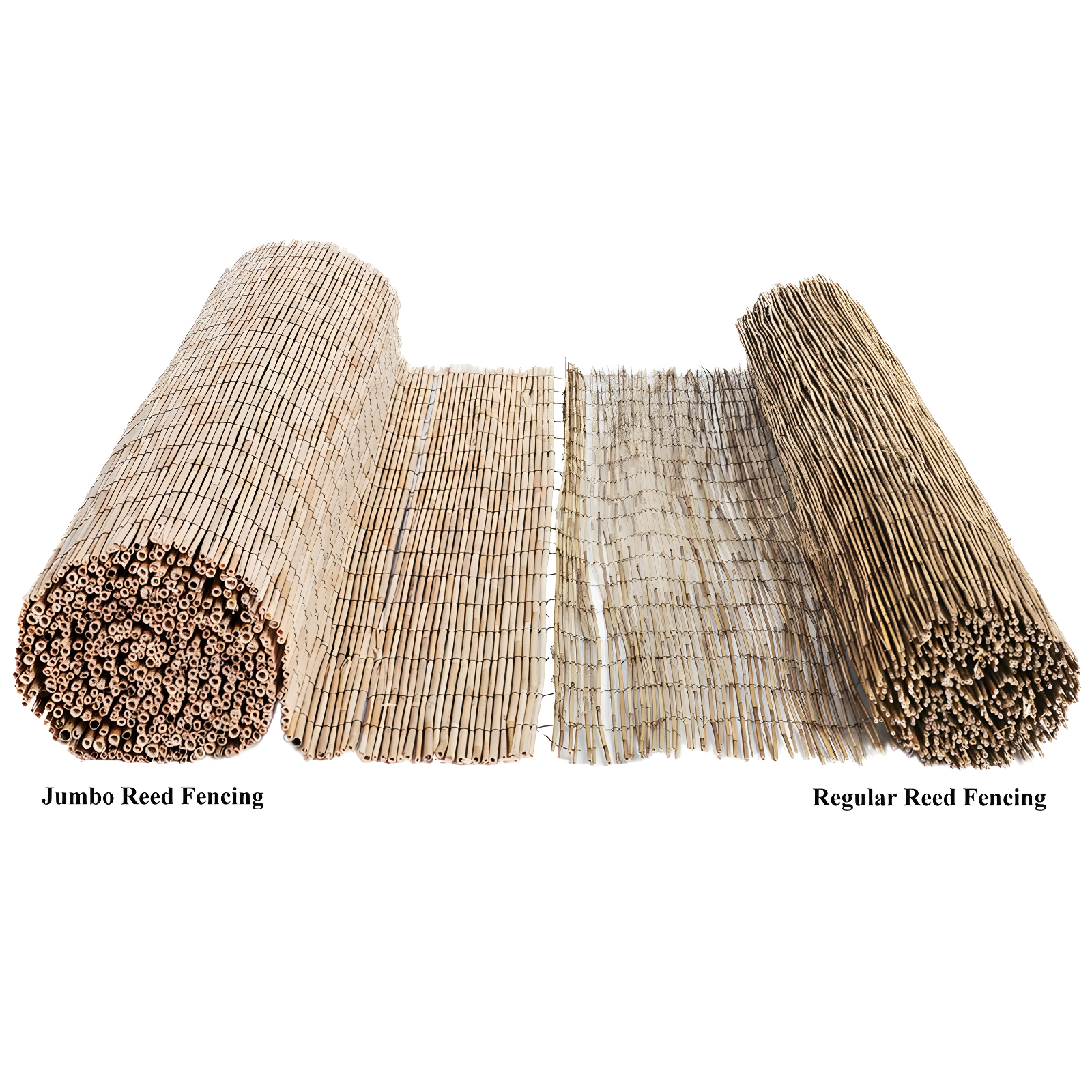 Backyard X-Scapes 6 ft. H x 16 ft. W Natural Jumbo Reed Fence Decorative Garden Fencing Divider
