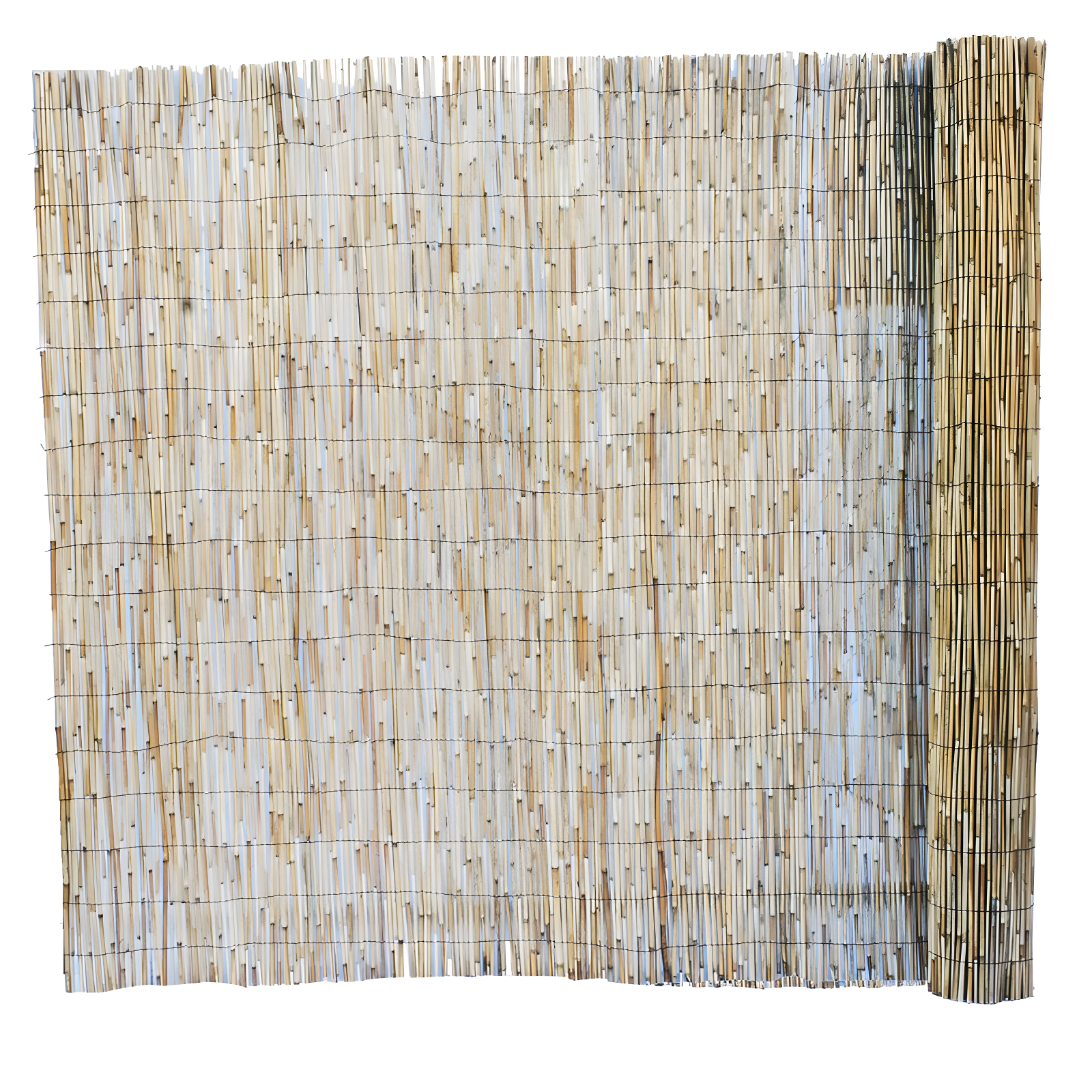 Backyard X-Scapes 6 ft. H x 16 ft. W Natural Jumbo Reed Fence Decorative Garden Fencing Divider
