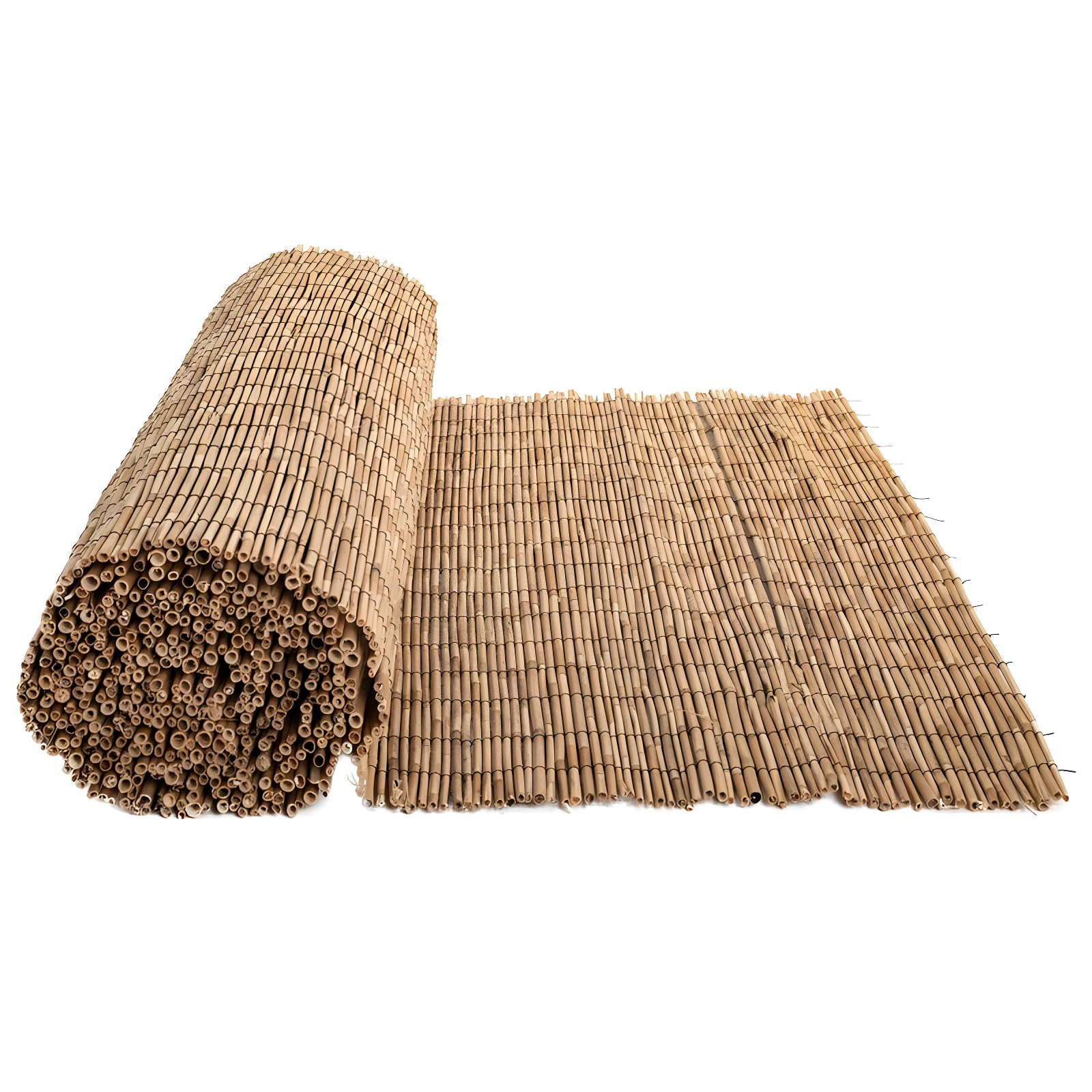 Backyard X-Scapes 6 ft. H x 16 ft. W Natural Jumbo Reed Fence Decorative Garden Fencing Divider