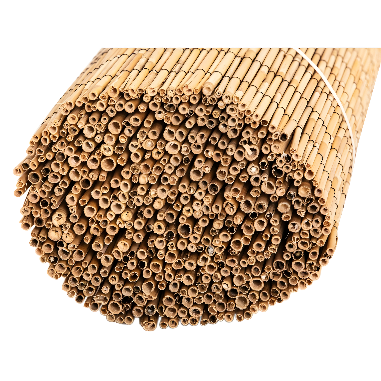 Backyard X-Scapes 6 ft. H x 16 ft. W Natural Jumbo Reed Fence Decorative Garden Fencing Divider
