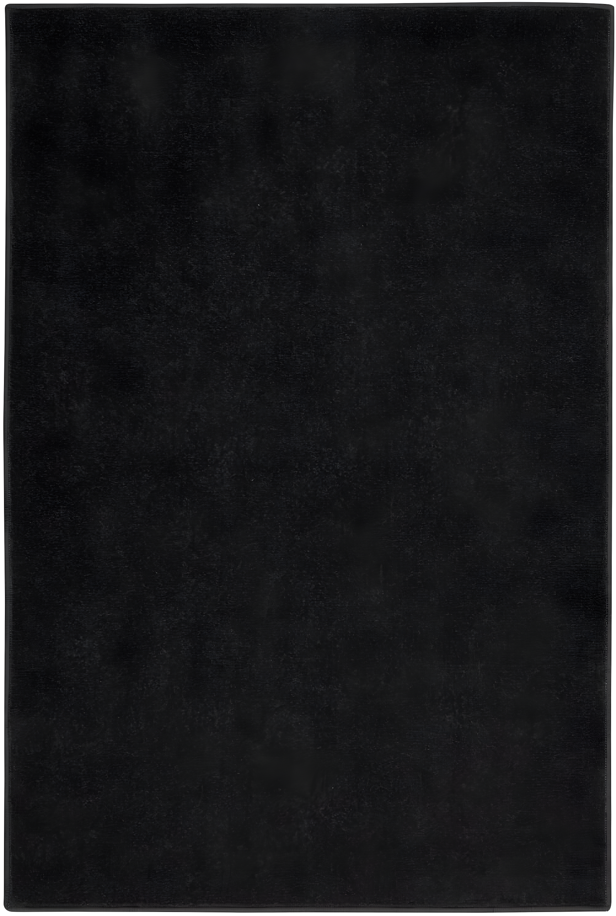 Nourison Essentials Easy Care Indoor Outdoor Area Rug - Black 2' x 4'