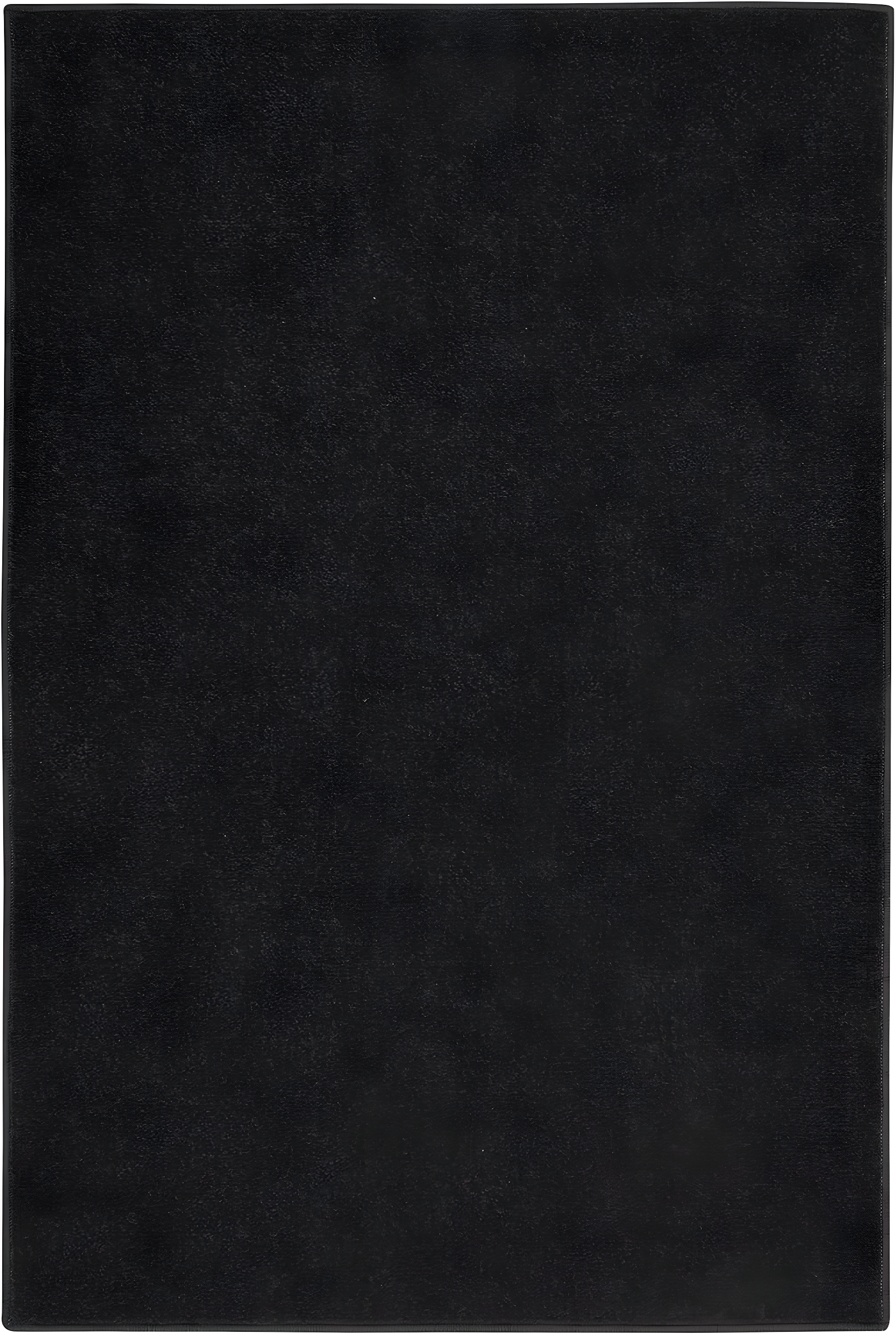 Nourison Essentials Easy Care Indoor Outdoor Area Rug - Black 2' x 4'