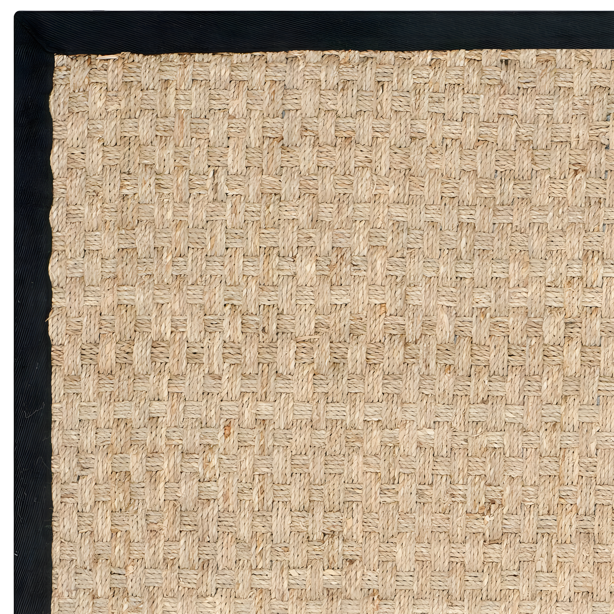 Natural Fiber NF114 Power Loomed Indoor Area Rug - Natural/Black - 4'x6' - Safavieh.