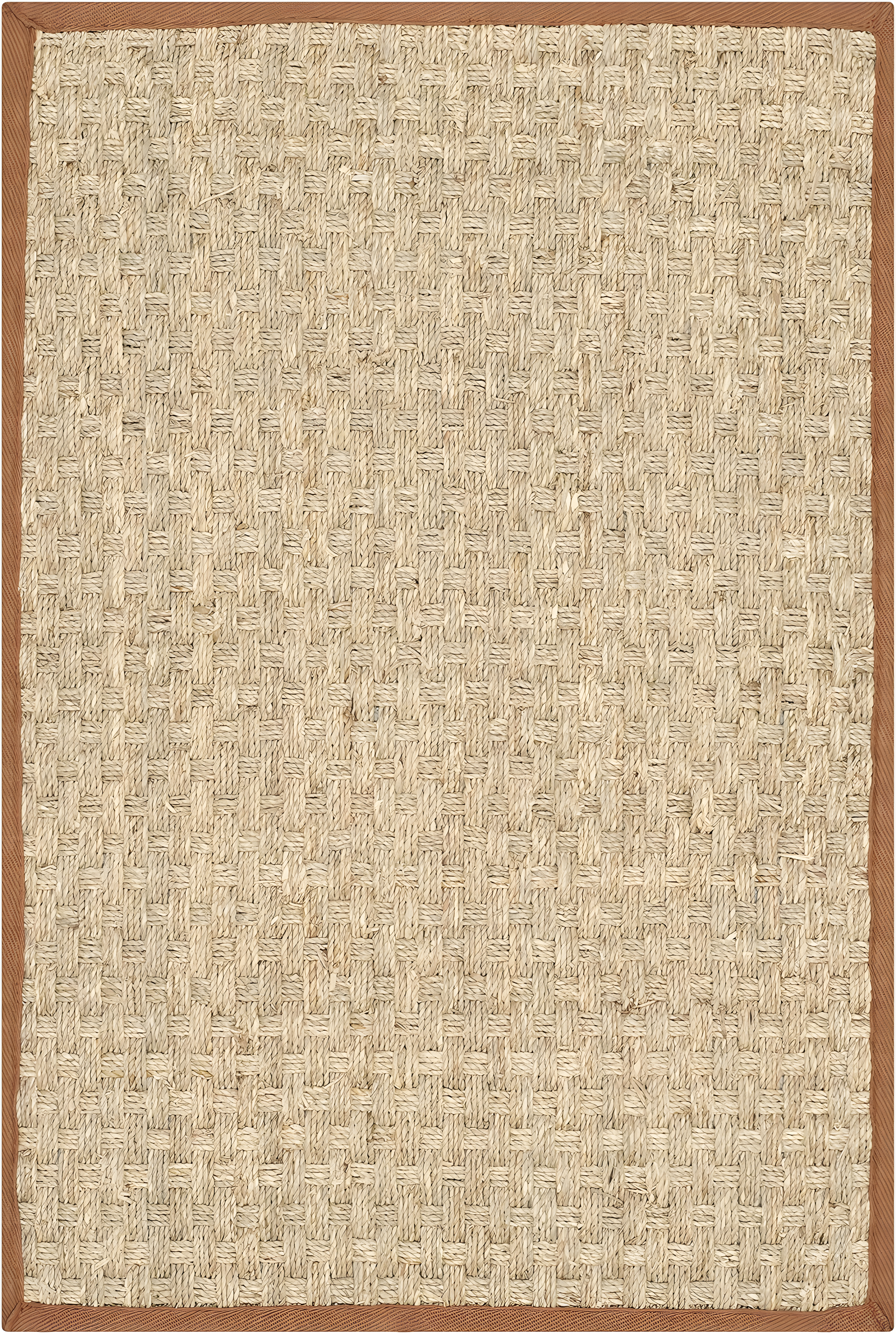Natural Fiber NF114 Power Loomed Indoor Accent Rug - Natural/Brown - 2'x3' - Safavieh.
