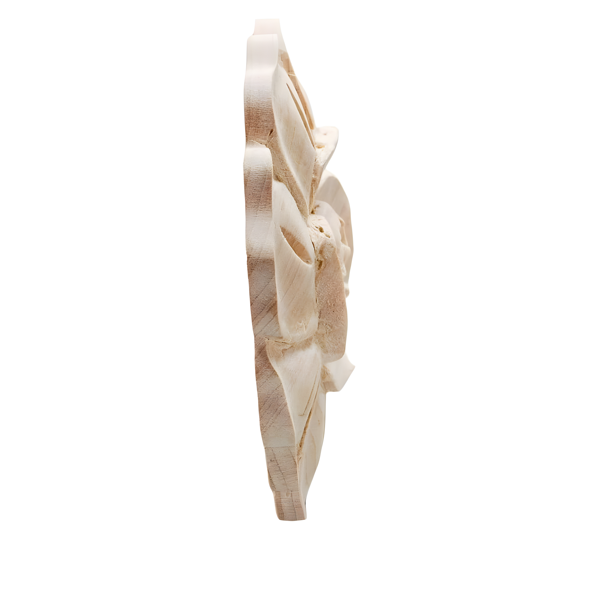 Architectural Products by Outwater L.L.C. 2-7/8 in x 1/2 in Unfinished Small Hand Carved Solid Wood Onlay Rose Wood Applique