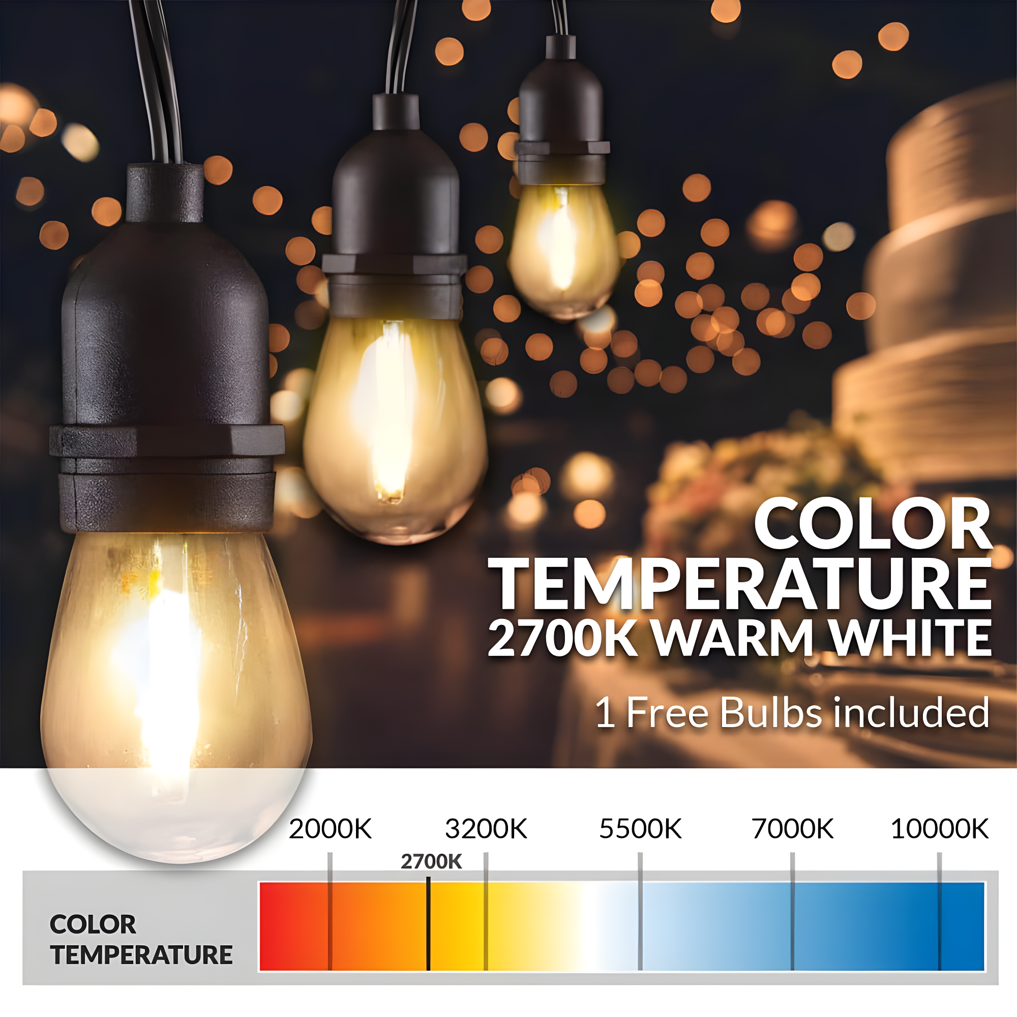 Newhouse Lighting LED String Lights with Weatherproof Technology, Dimmable with Wireless Remote Control, 48ft and 16 (15+1 free) LED Light Bulbs Included, Black (CSTRINGLEDDIM)