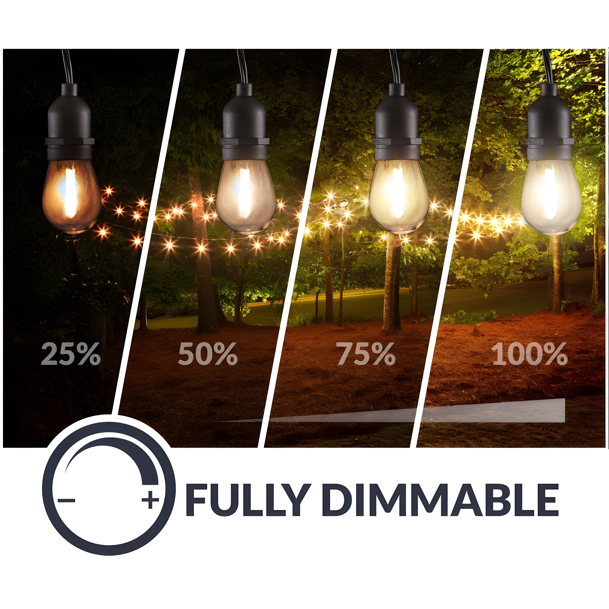 Newhouse Lighting LED String Lights with Weatherproof Technology, Dimmable with Wireless Remote Control, 48ft and 16 (15+1 free) LED Light Bulbs Included, Black (CSTRINGLEDDIM)