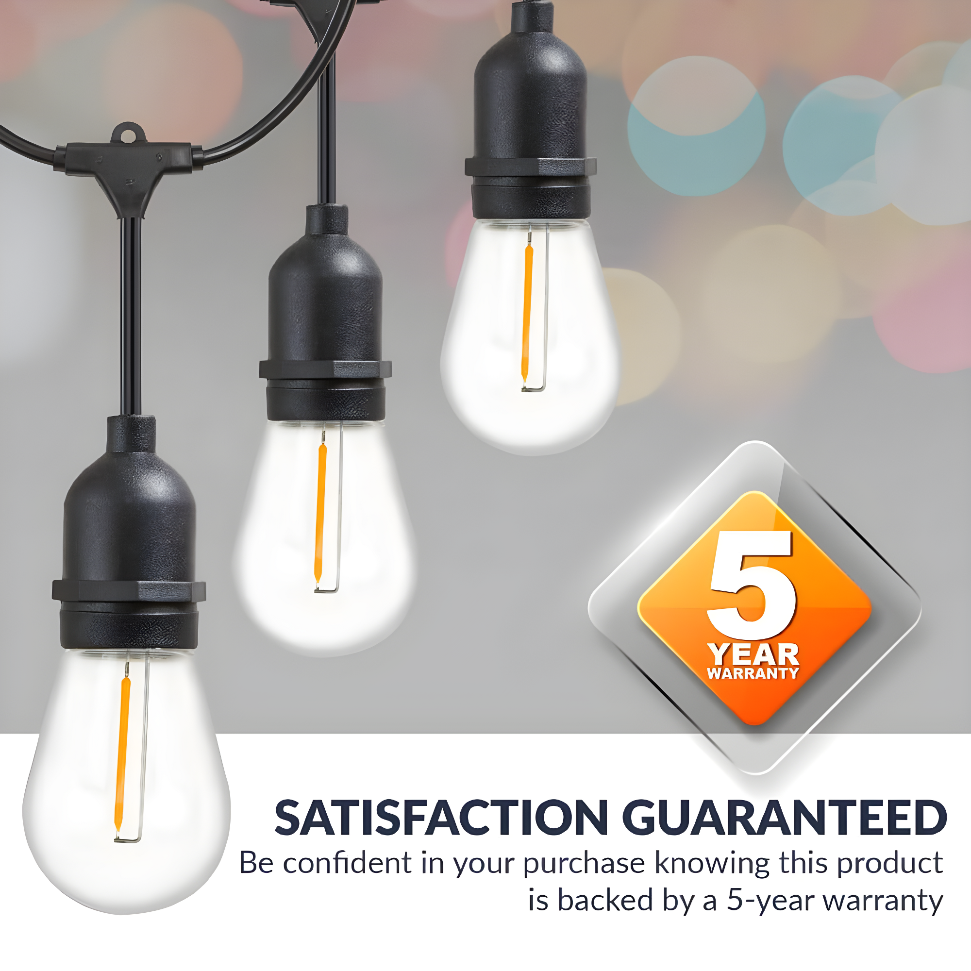 Newhouse Lighting LED String Lights with Weatherproof Technology, Dimmable with Wireless Remote Control, 48ft and 16 (15+1 free) LED Light Bulbs Included, Black (CSTRINGLEDDIM)