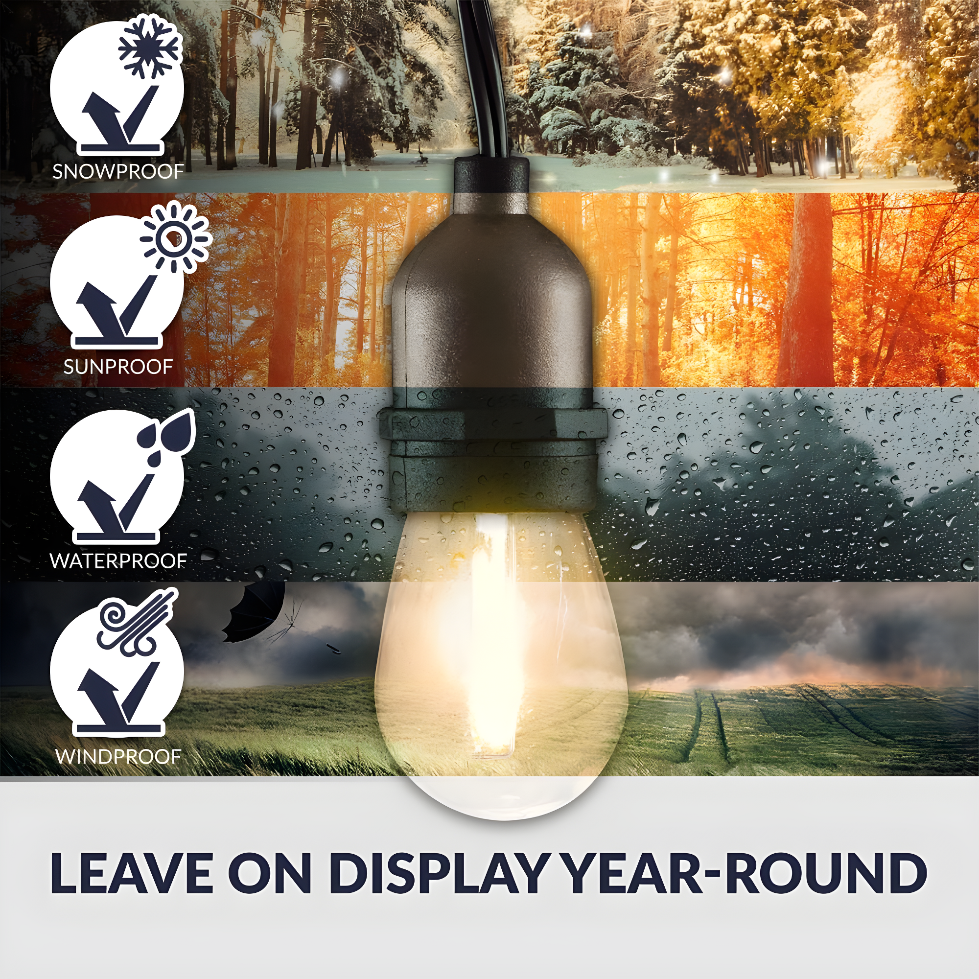Newhouse Lighting LED String Lights with Weatherproof Technology, Dimmable with Wireless Remote Control, 48ft and 16 (15+1 free) LED Light Bulbs Included, Black (CSTRINGLEDDIM)