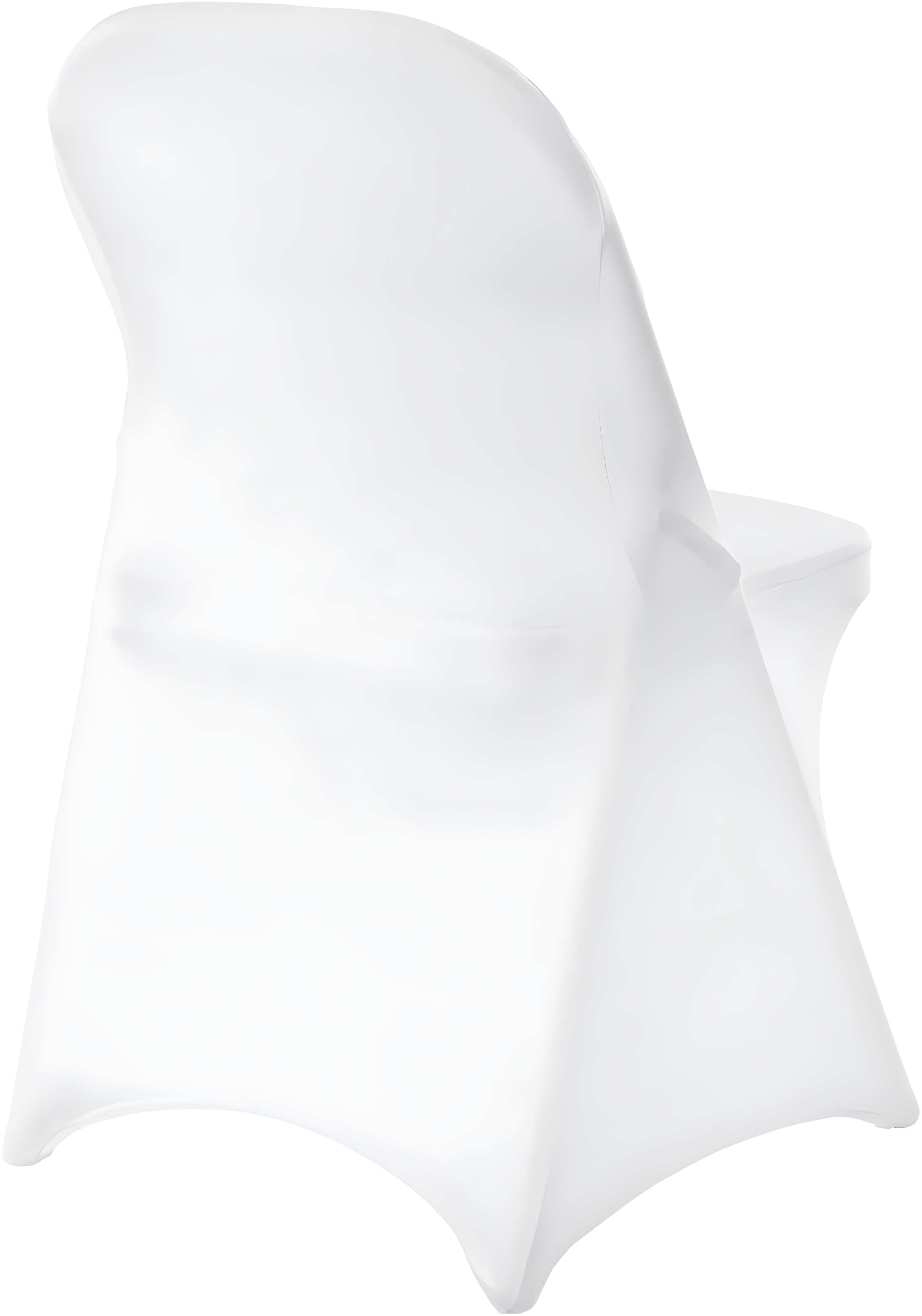 VEVOR Polyester Chair Cover | Wayfair