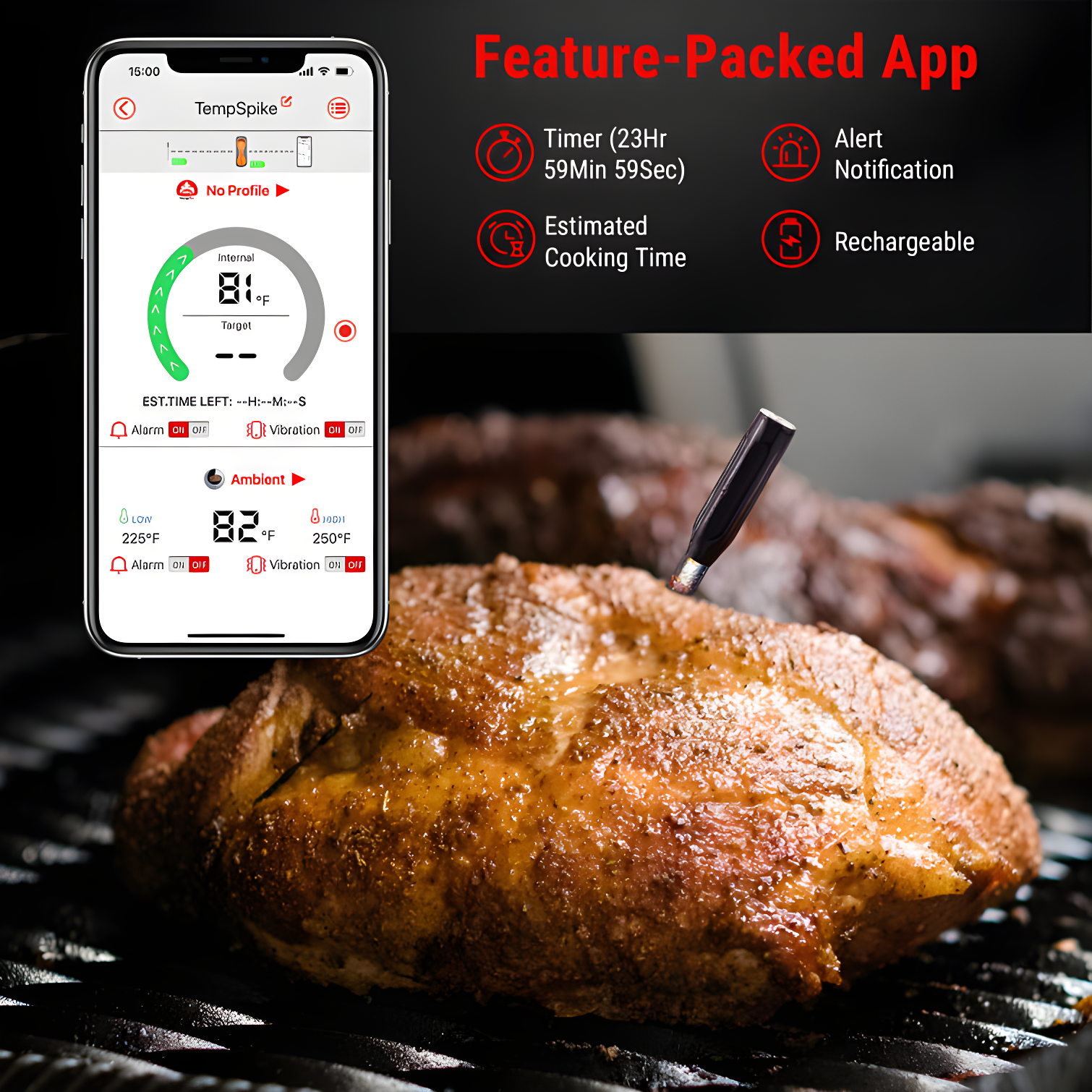 ThermoPro Thermometer