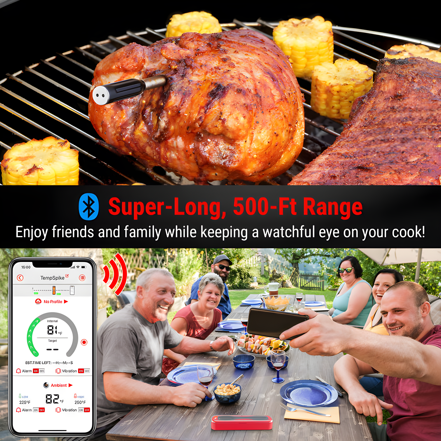 ThermoPro Thermometer