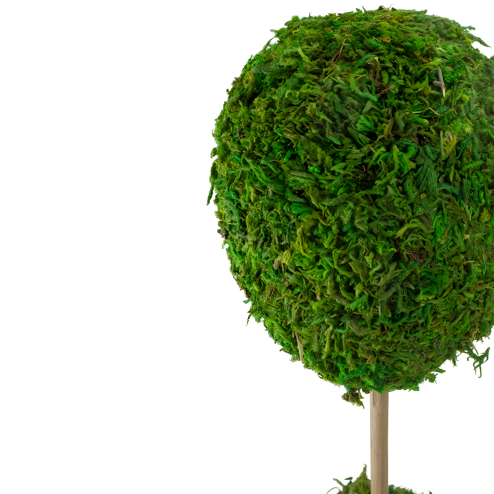 Northlight Seasonal Green Reindeer Moss Ball Potted Artificial Spring Topiary Tree