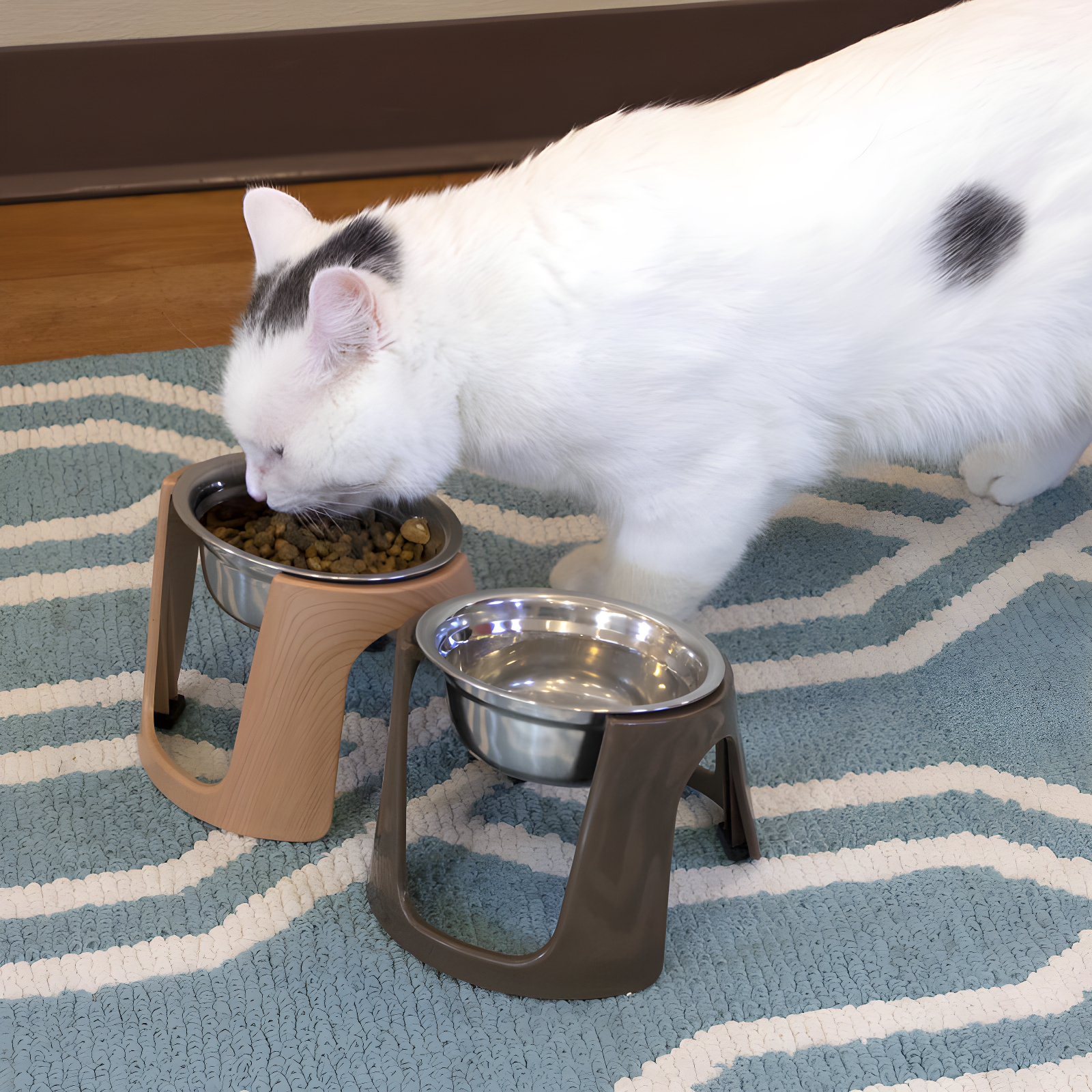 1.79 Cups Elevated Feeder (Set of 2)