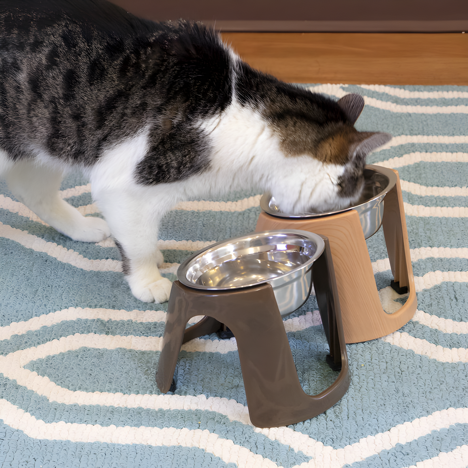 1.79 Cups Elevated Feeder (Set of 2)