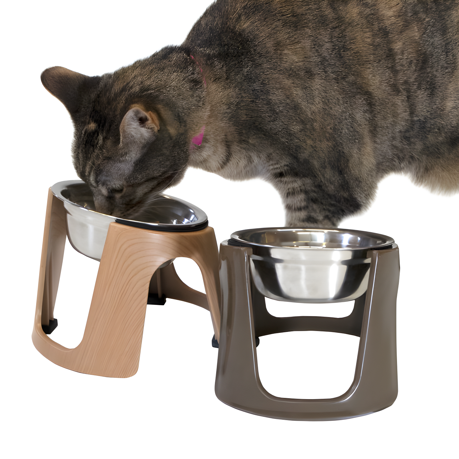1.79 Cups Elevated Feeder (Set of 2)